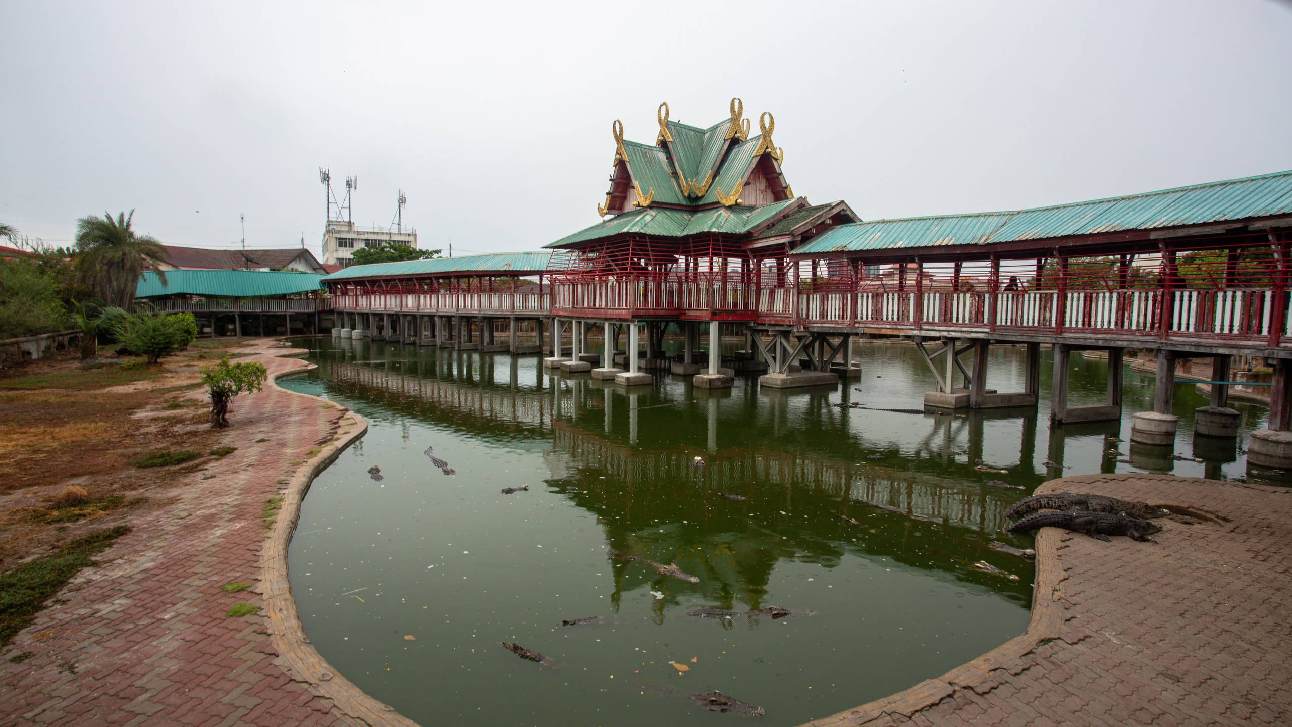 Samut Prakan Crocodile Farm & Zoo. Photographer Sonkina Tatiana (Tanya Ash)