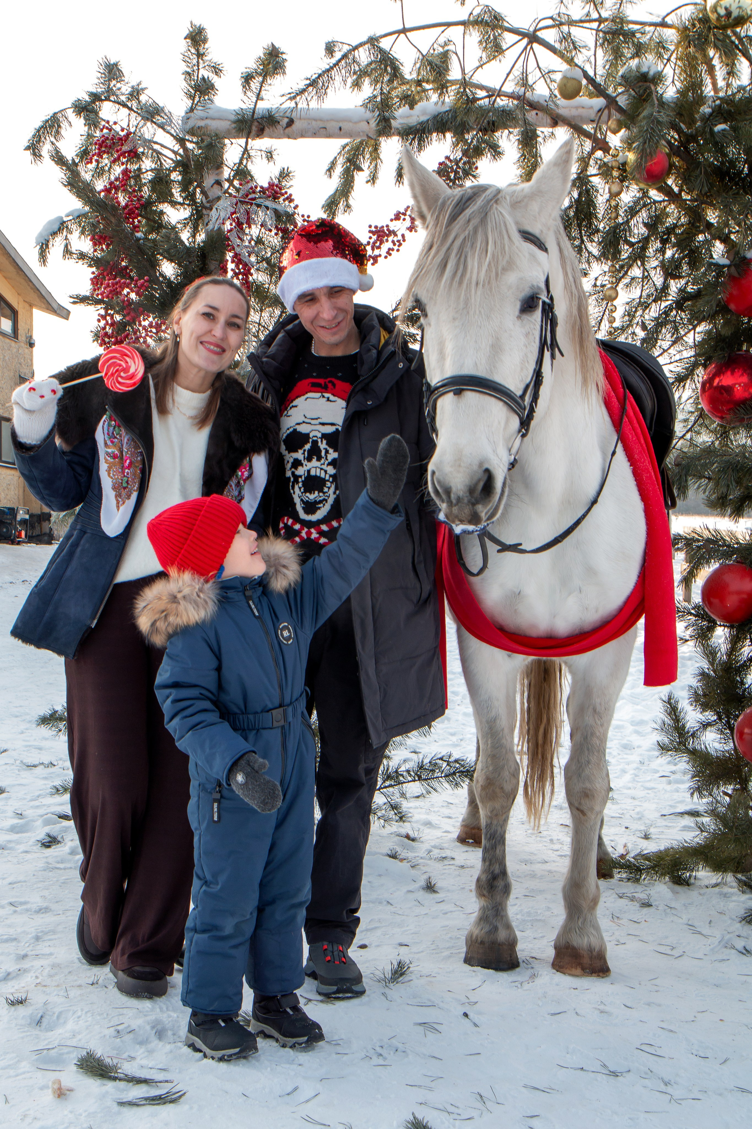 Анастасия с семьей. Участники «Новогоднего фотопроект с лошадью». Фотограф в Шелехове, лучшие выпускные альбомы в Шелехове