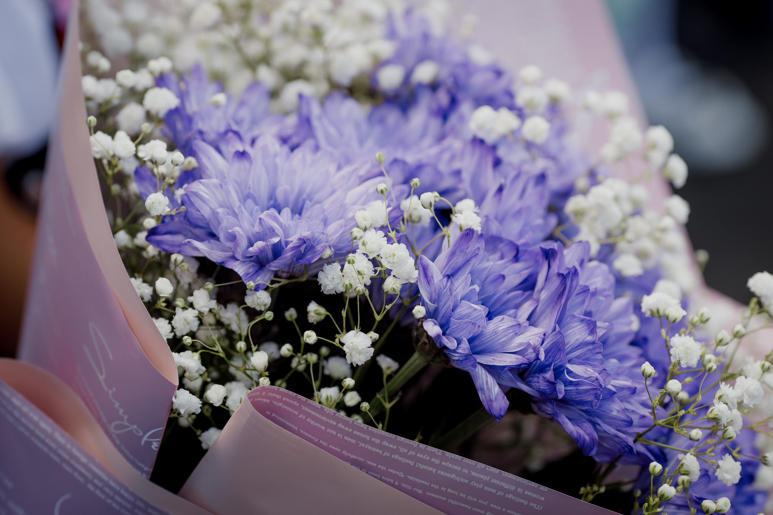 1 Сентября 1А г. Артем. Photoalbum-vl.ru