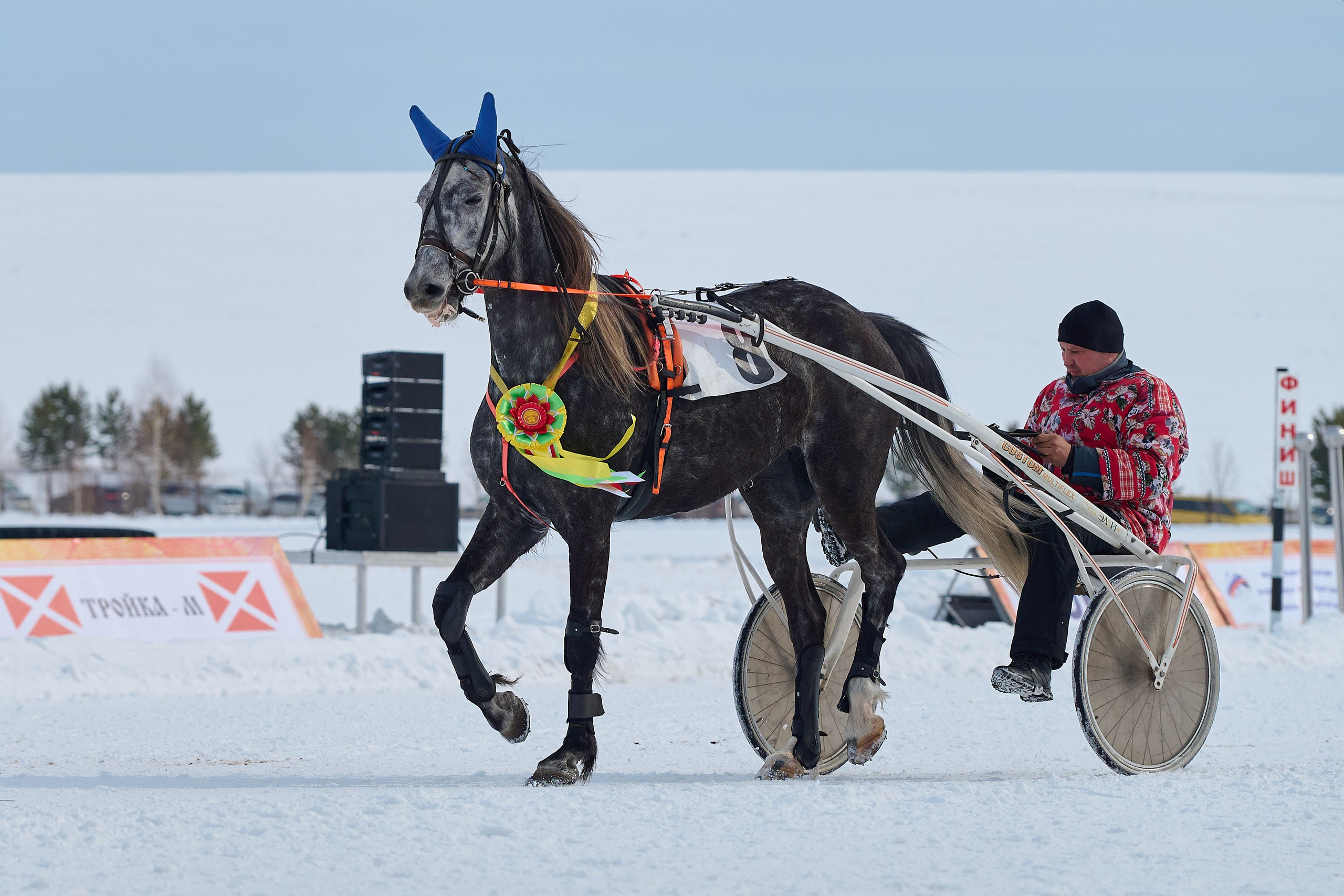 Сибирская масленица. Фотограф Опыт Качество Скорость Горный Алтай Барнаул