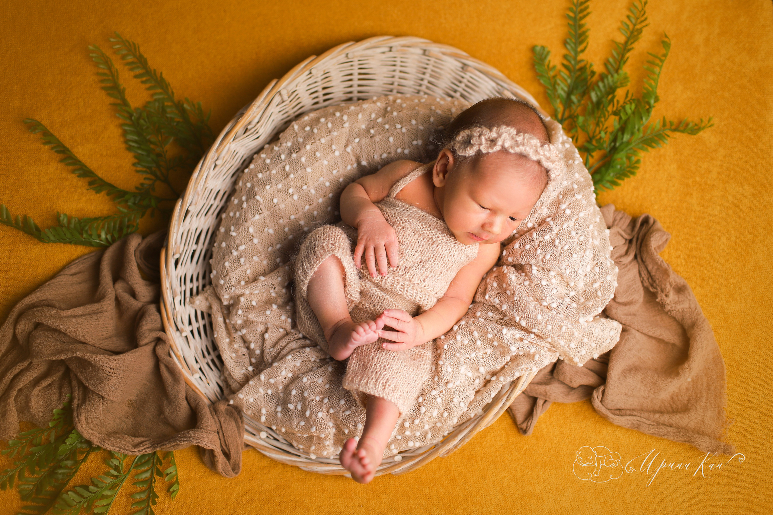 Новорожденная фотосессия для девочек. Ирина Кан Фотограф новорожденных в Екатеринбурге