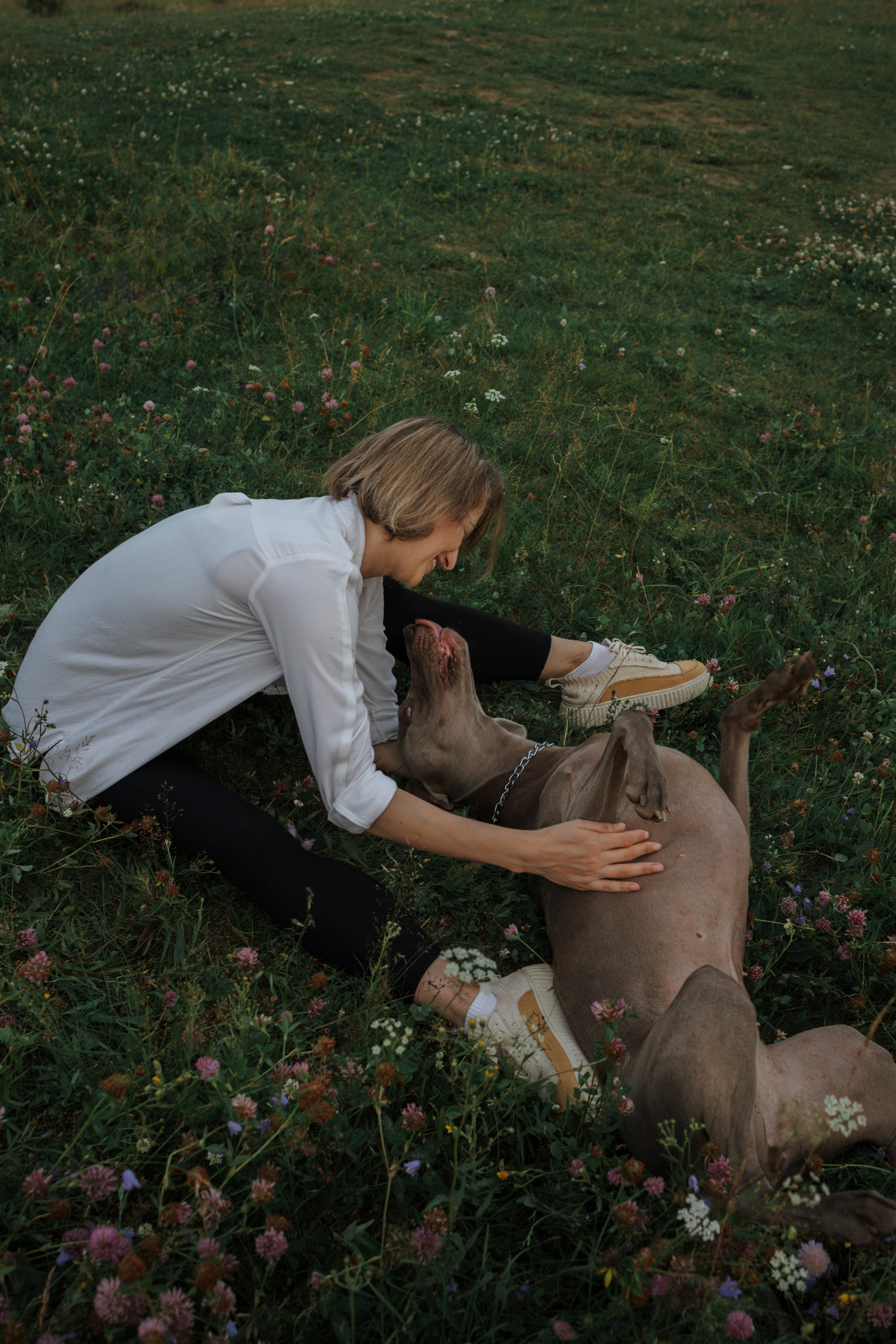 Маргарита и веймаранеры. Фотограф-анималист в Санкт-Петеребурге Титова Алиса