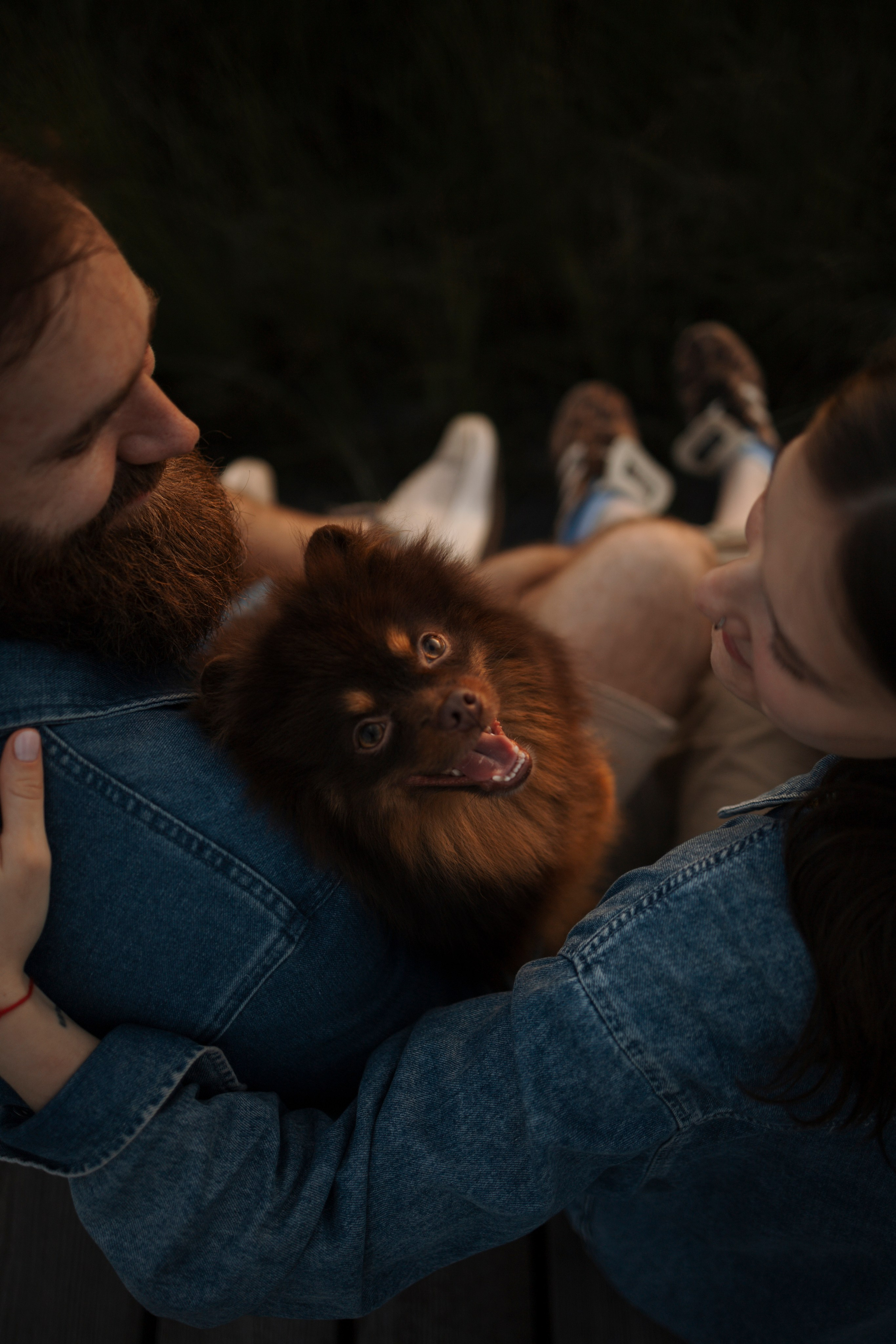 Сапфир и его семья. Фотограф-анималист в Санкт-Петеребурге Титова Алиса