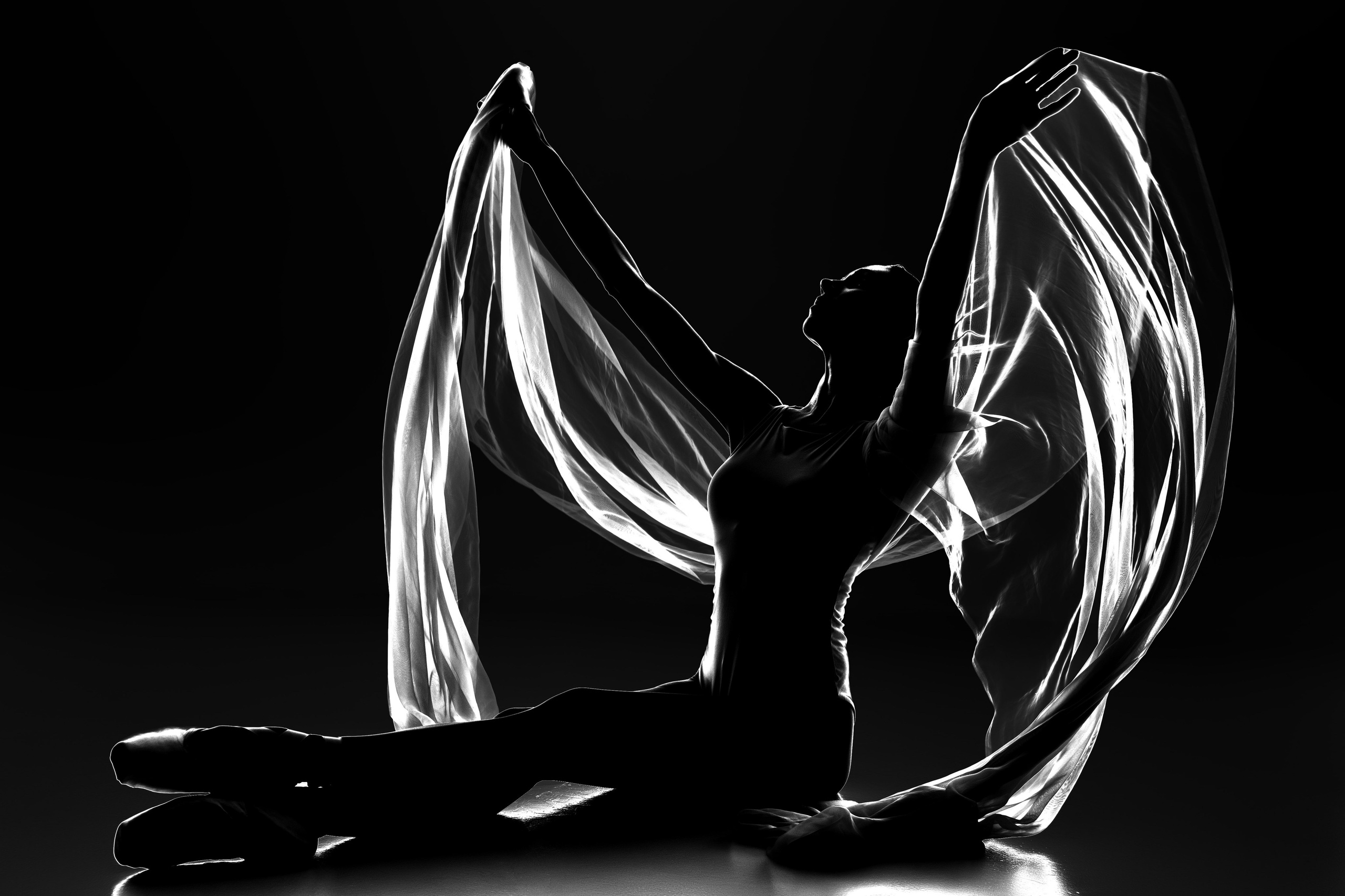 Искусство линии и света