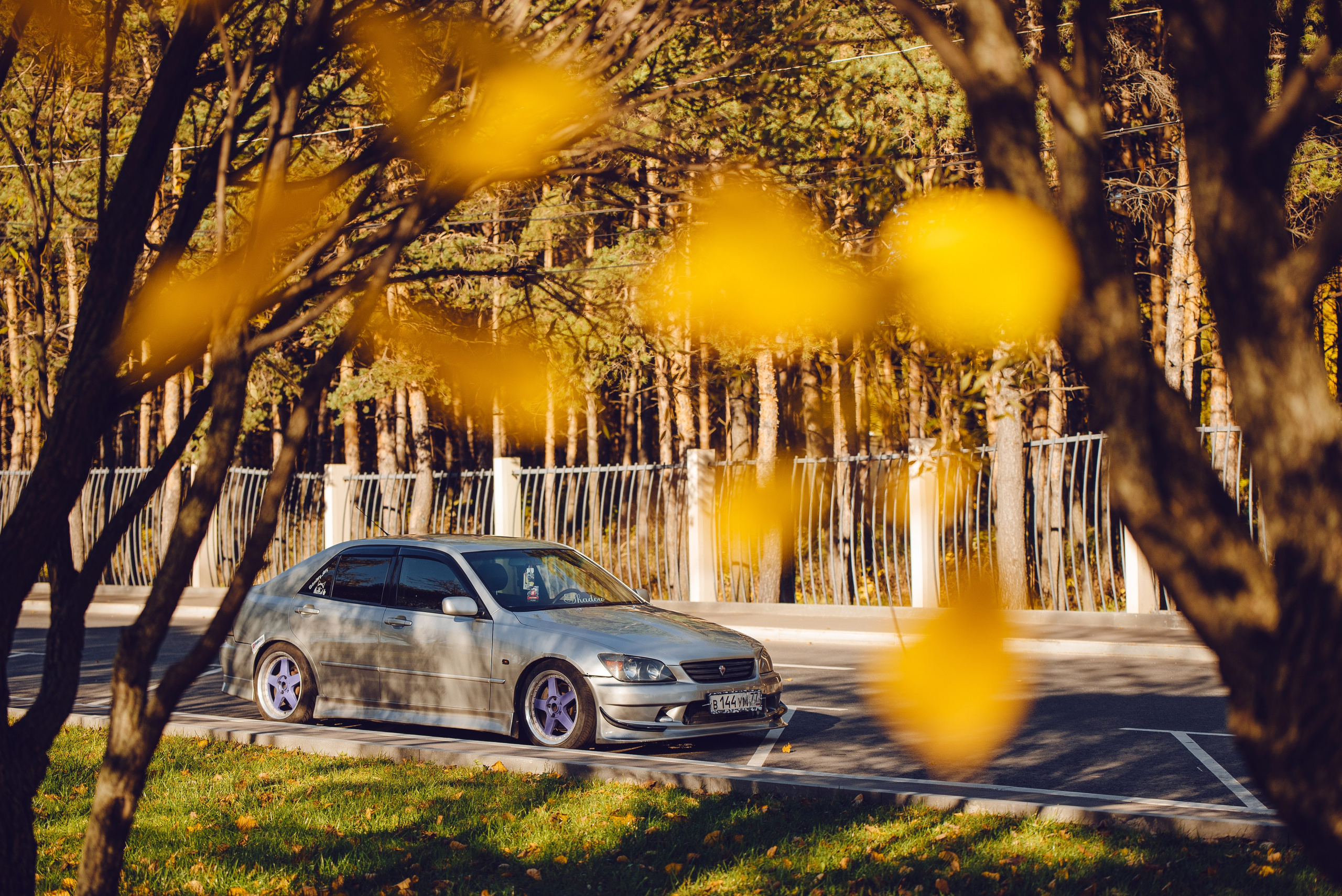 Toyota Altezza dmitry_dry. DeLorein