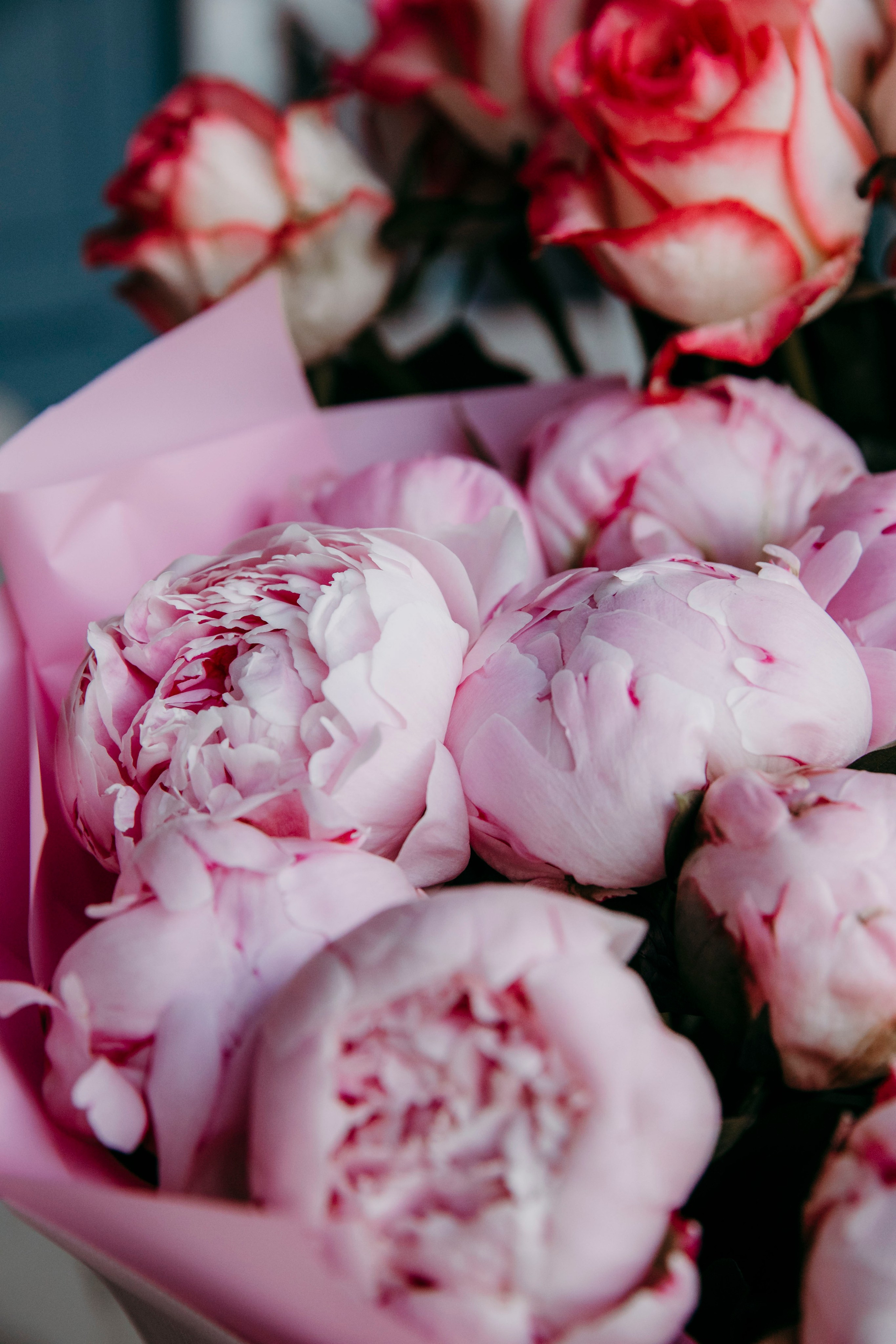 Юля. Фотограф в Москве Шаганова Нина