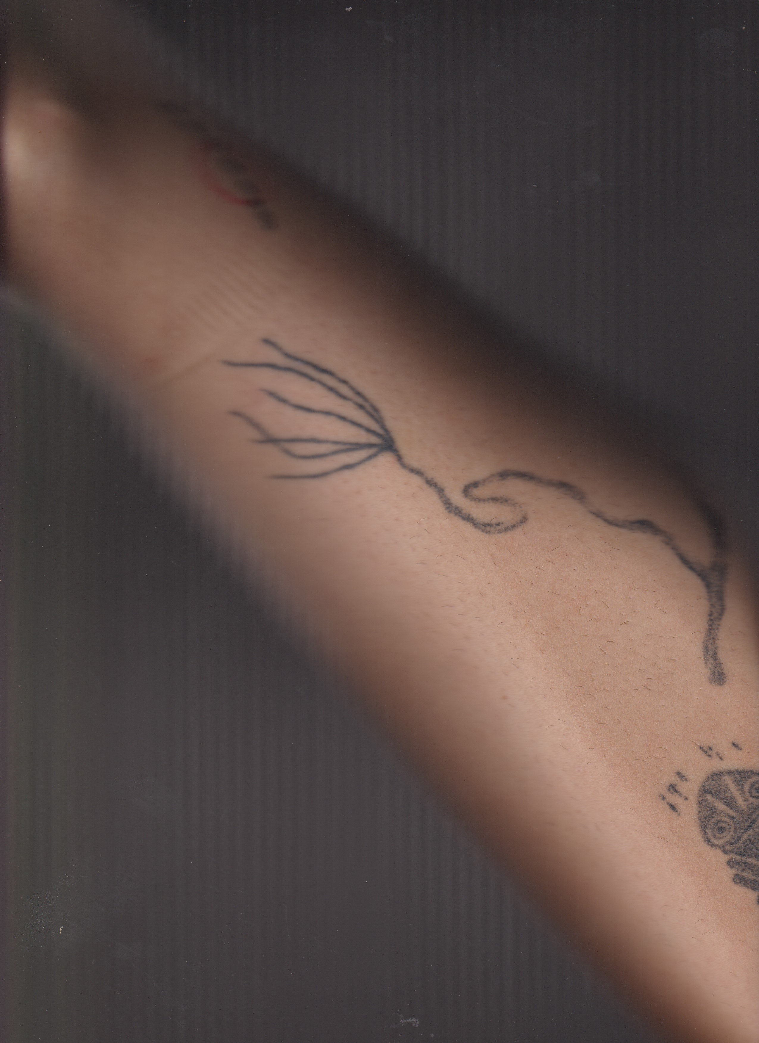 SEDIMENTS AND FOSSILS. Xexexena.ru