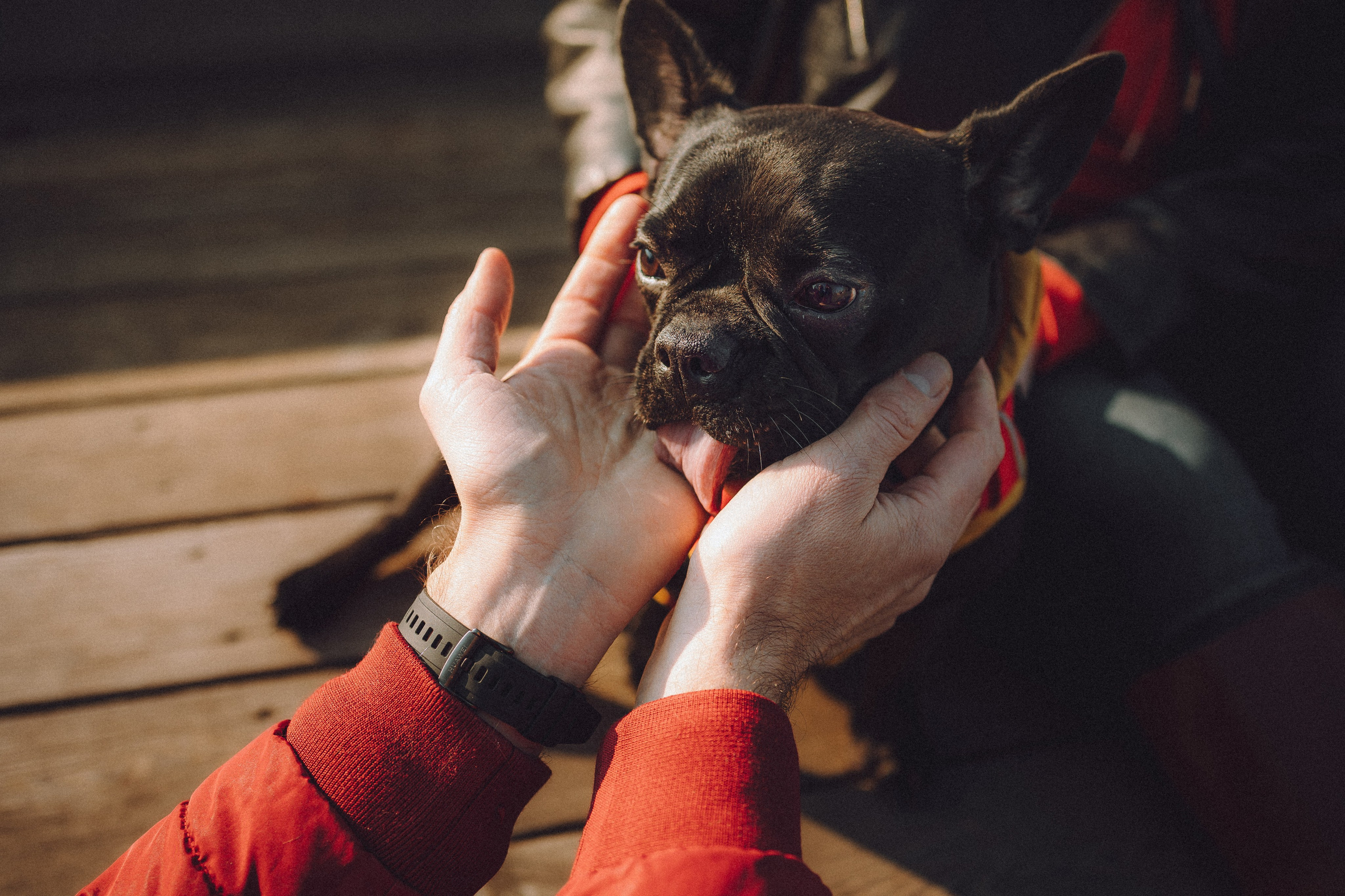 Саша, Дима и Шпуля
