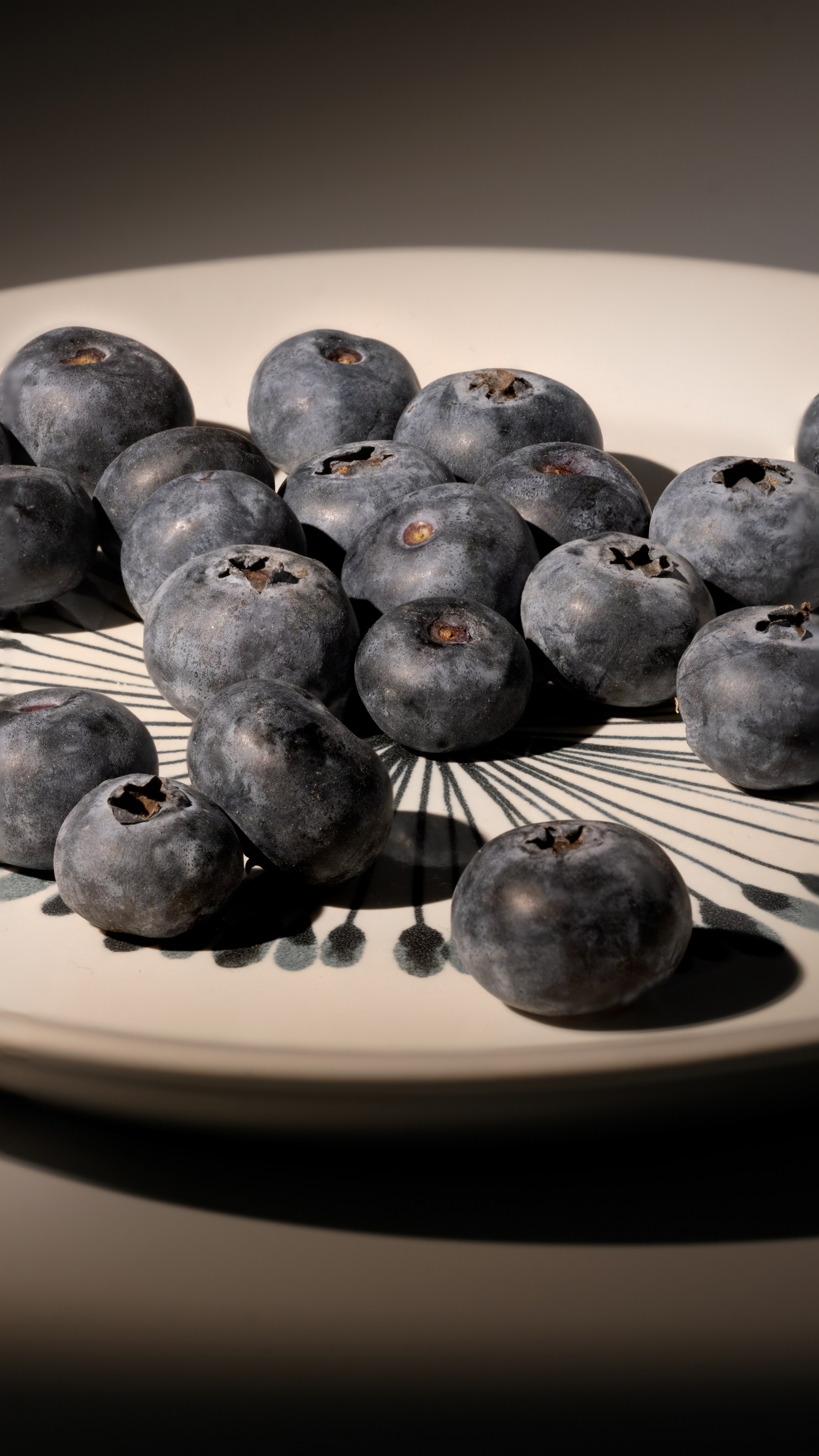 Черника. Фотограф Коробова Екатерина