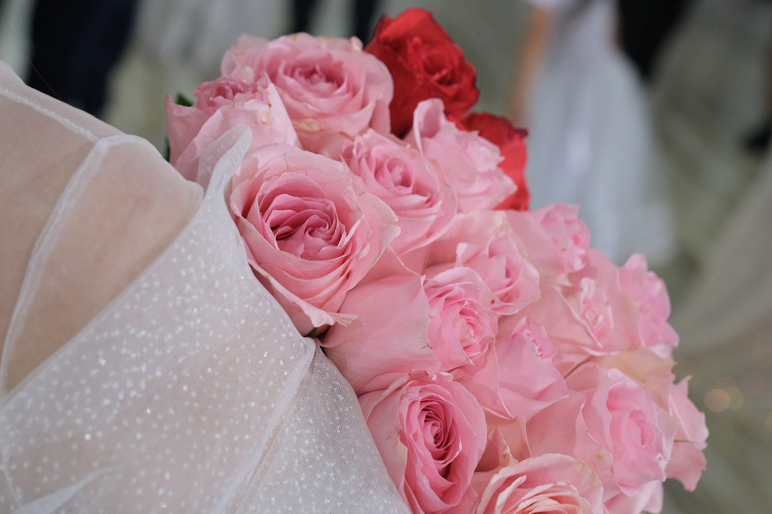 Свадьба Андрея и Вероники. Свадебный фотограф в Челябинске Сырчикова Наталья