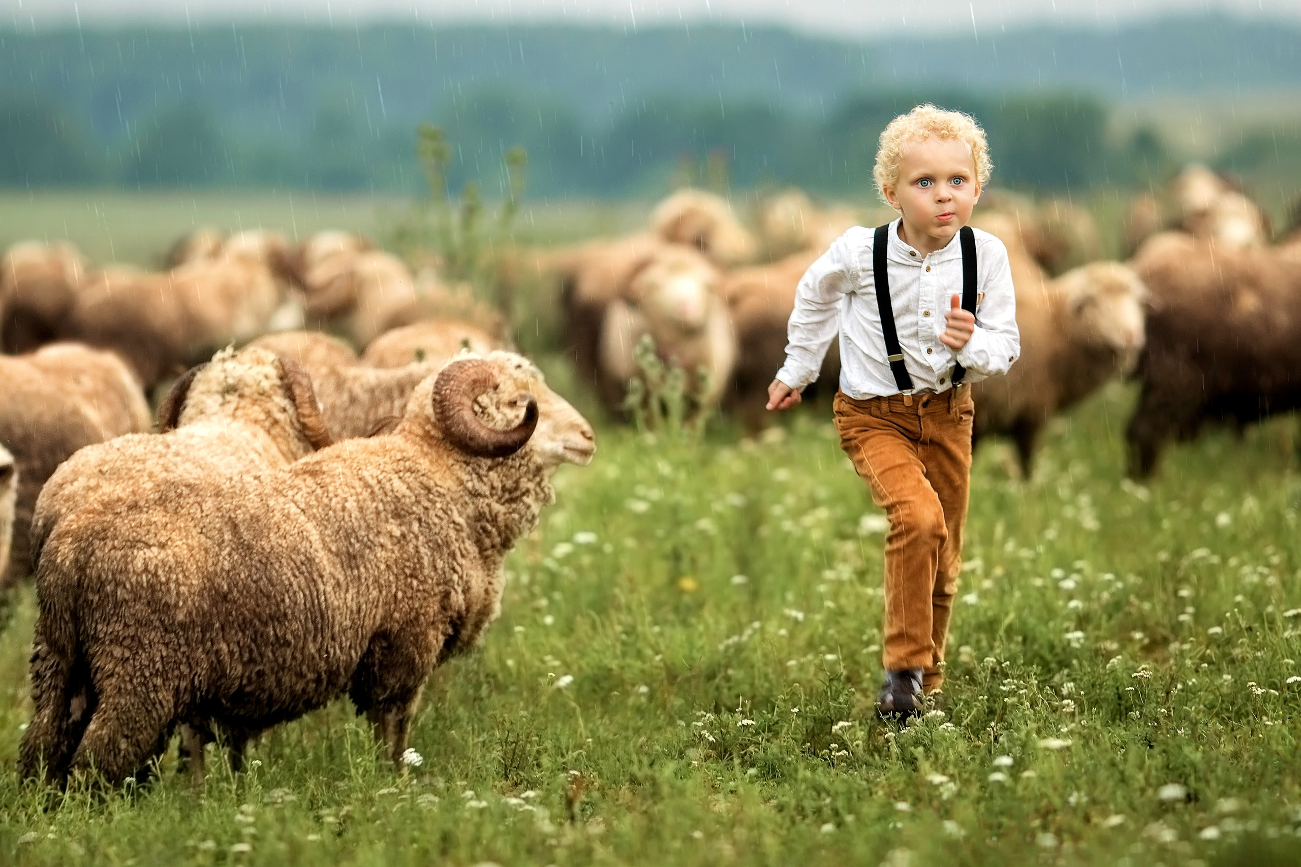 Свадебный и семейный фотограф в Туле и Москве Полукарова Юлия