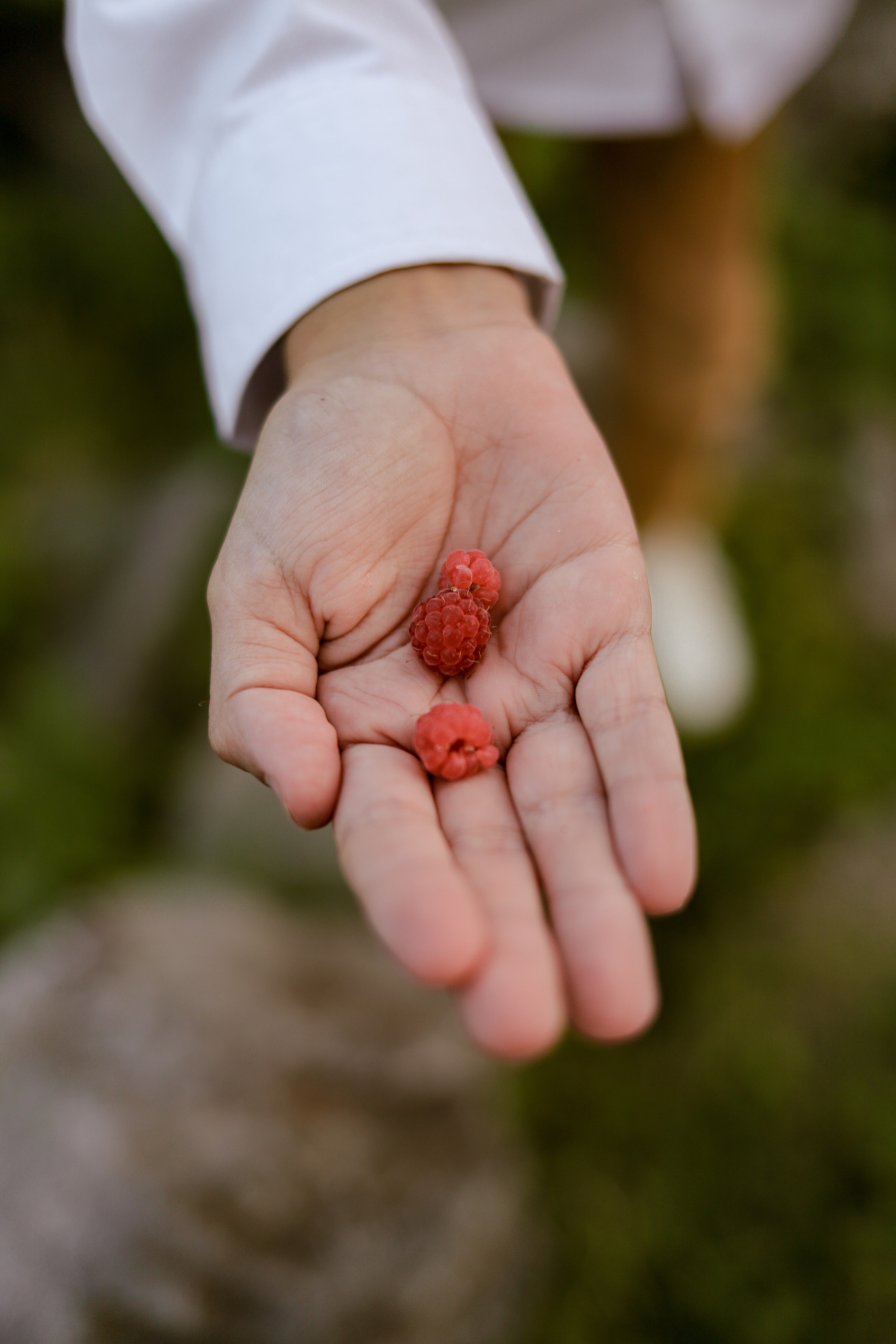 Семья Пьянковых