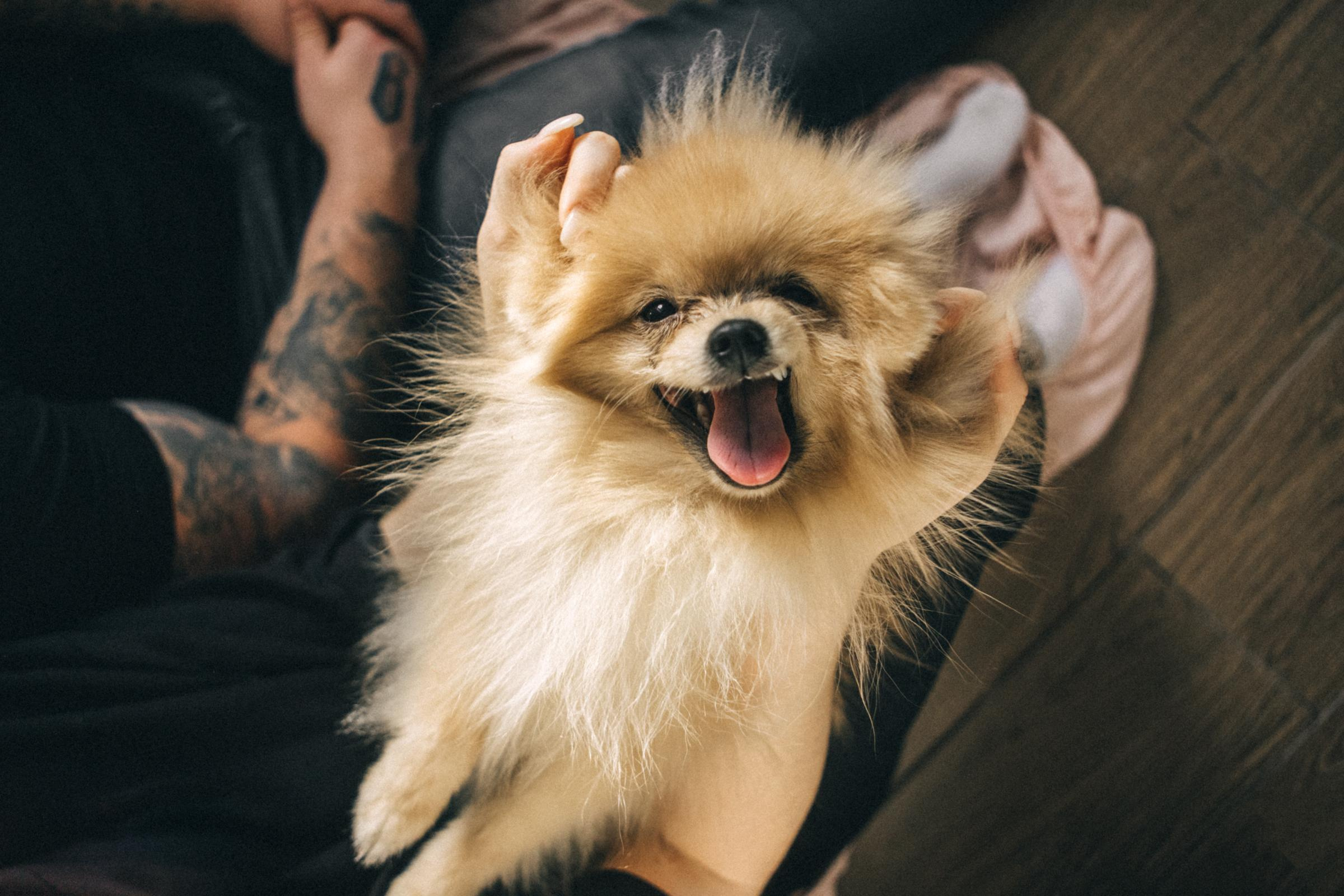 Сережа&Полина