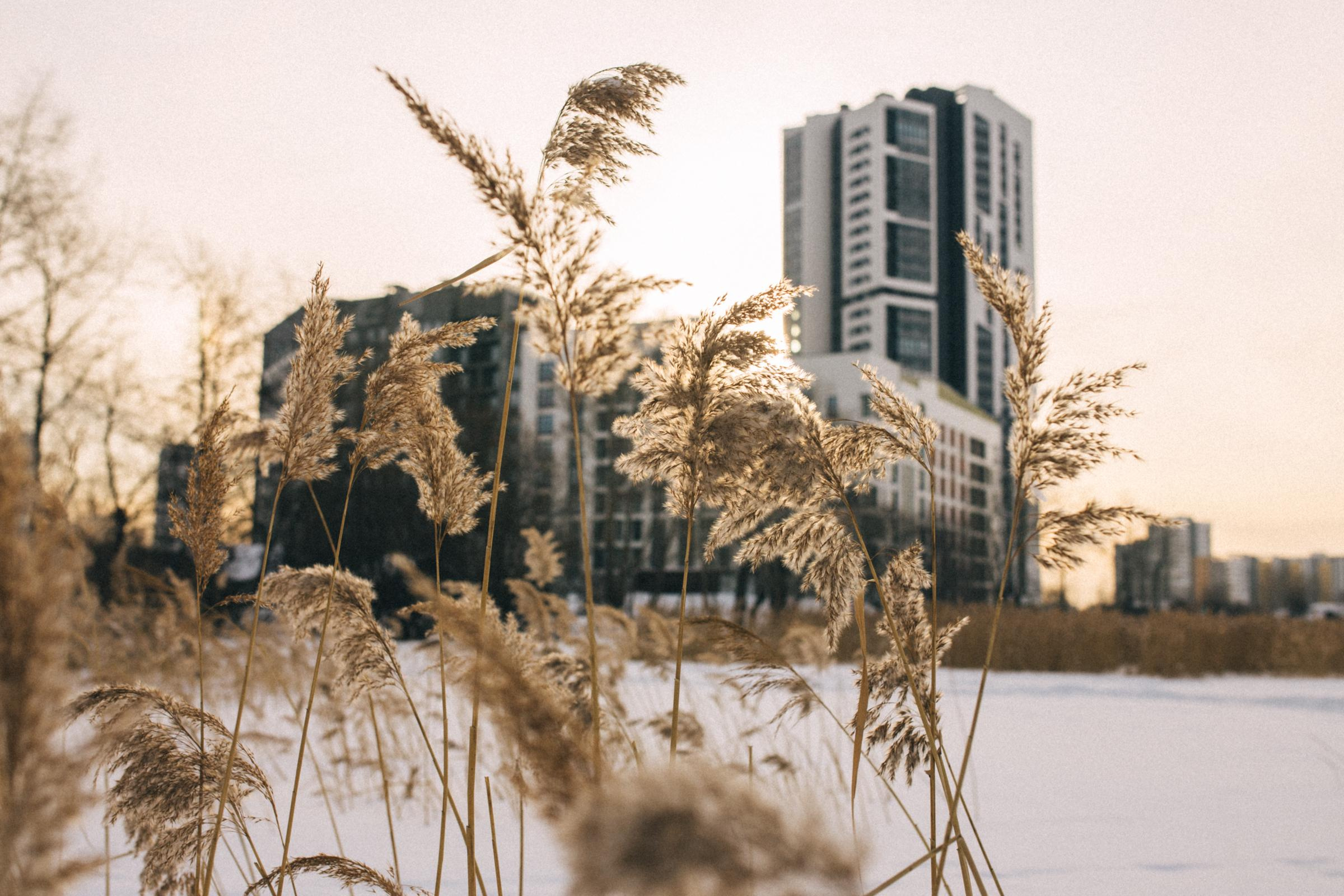 Сережа&Полина