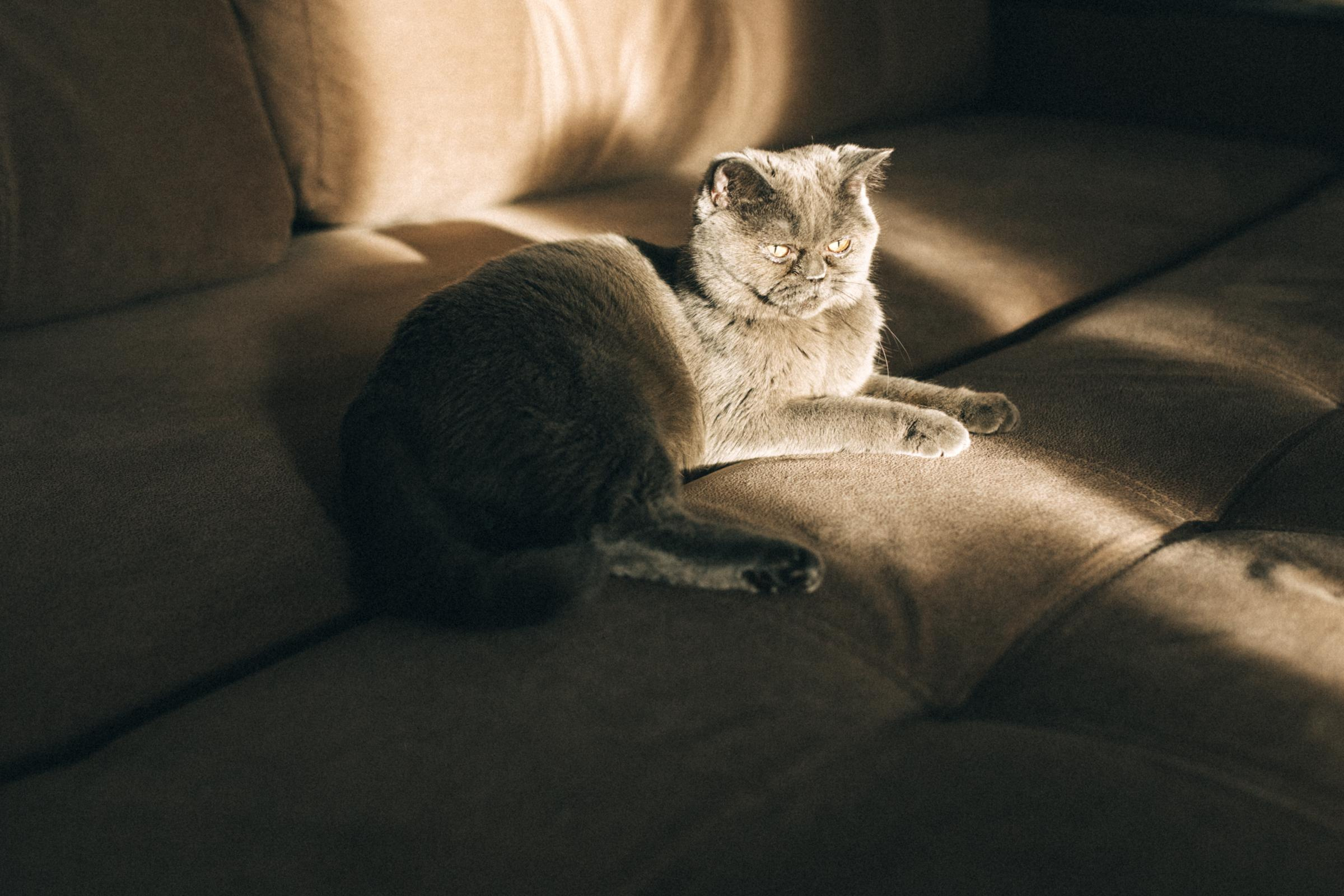 Сережа&Полина