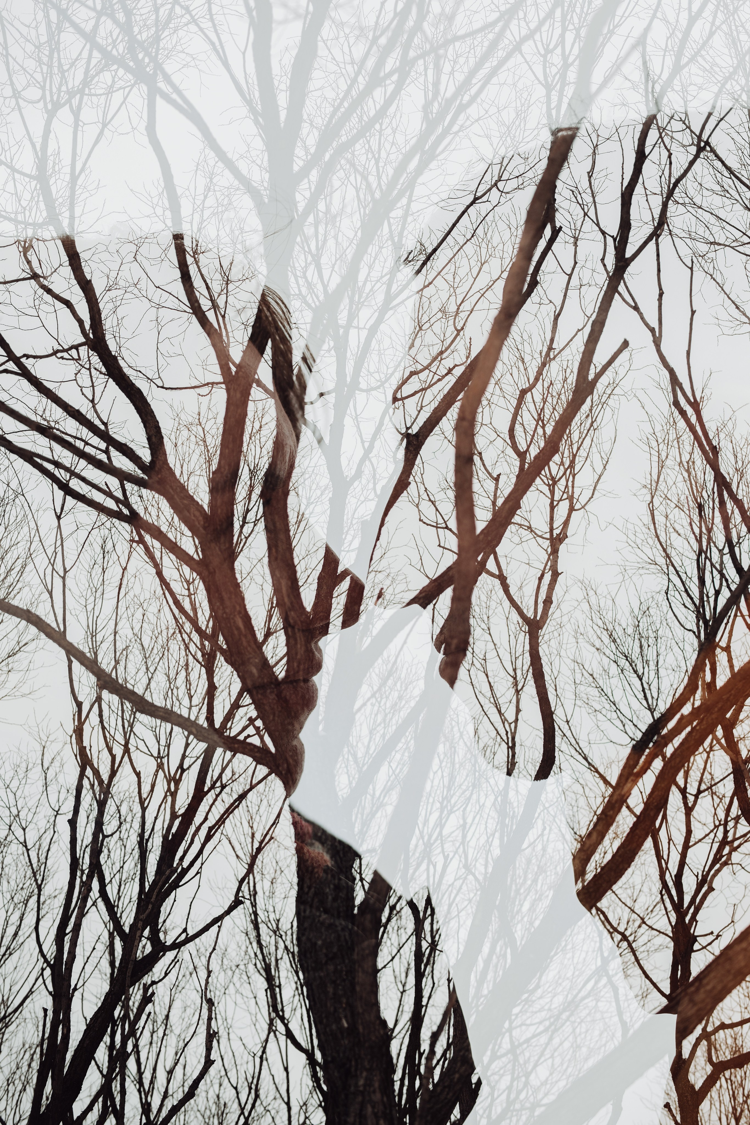 Беременность