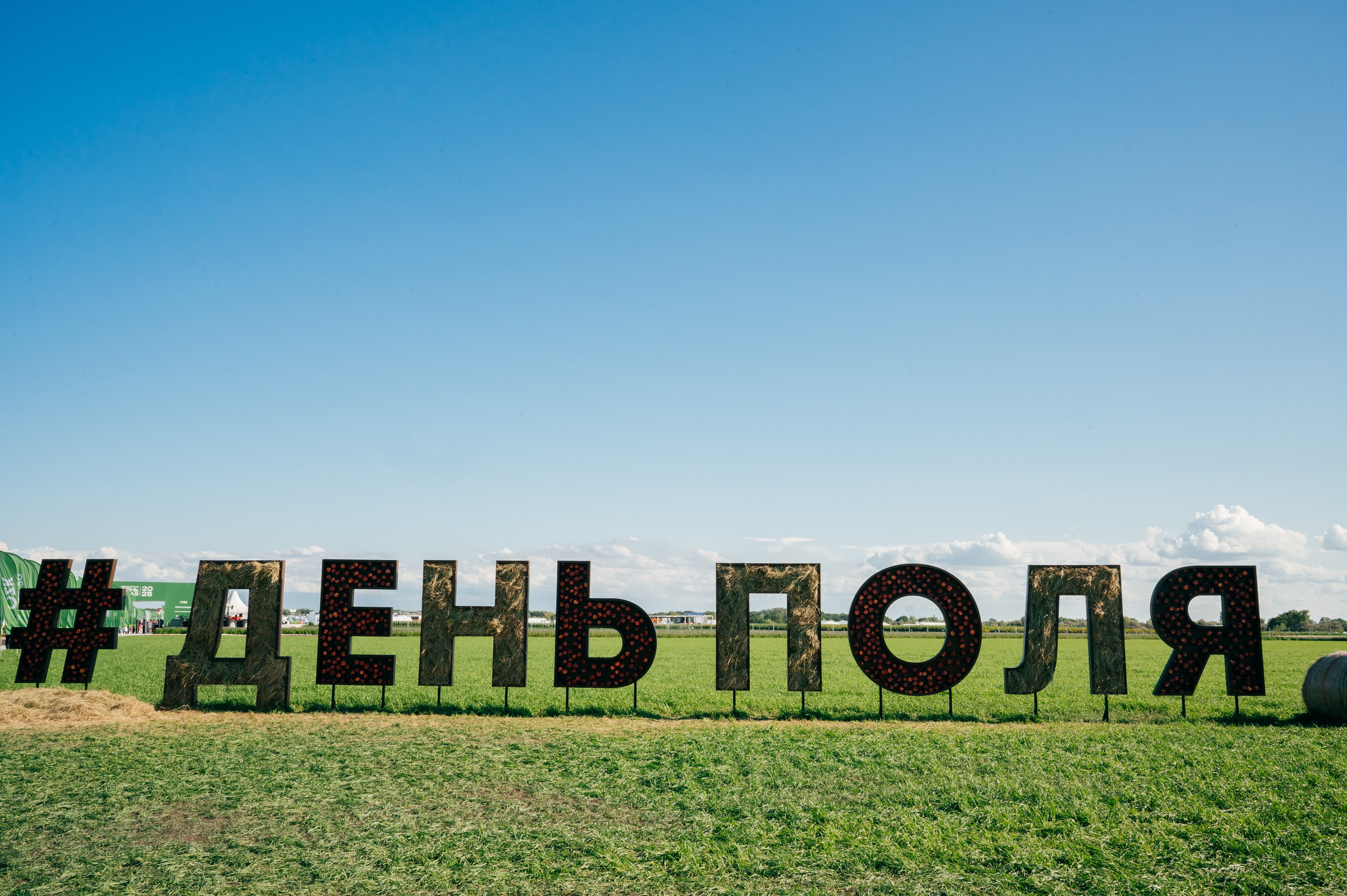 Всероссийский день поля 2025. SARKISOPH | Фотограф Волгоград