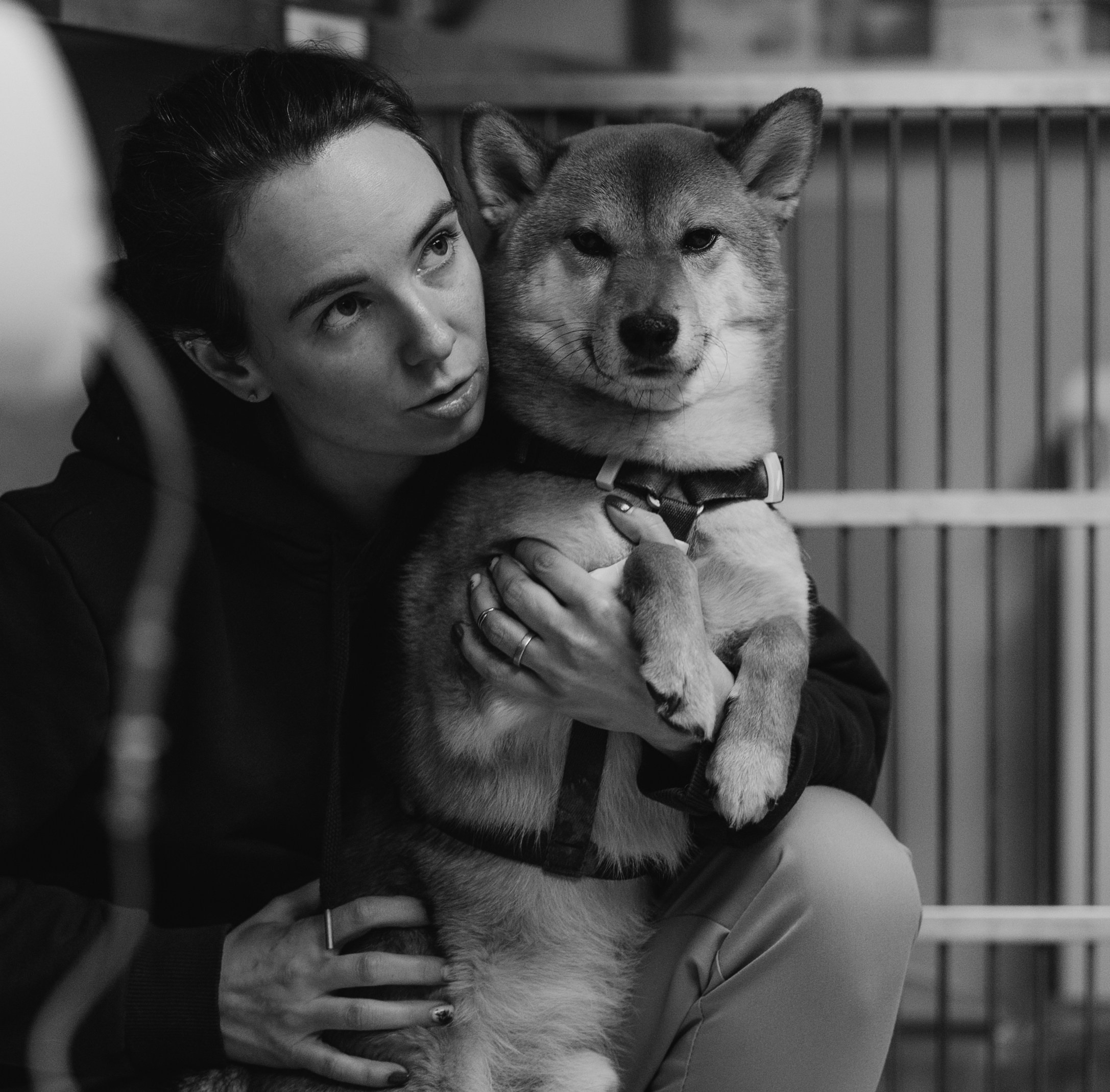 VetLife. Татьяна Афонина | Фотограф