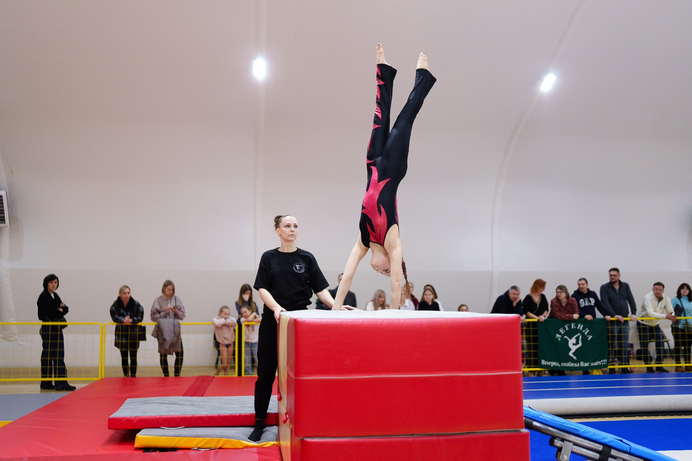 Гимнастика. Фотограф Москва