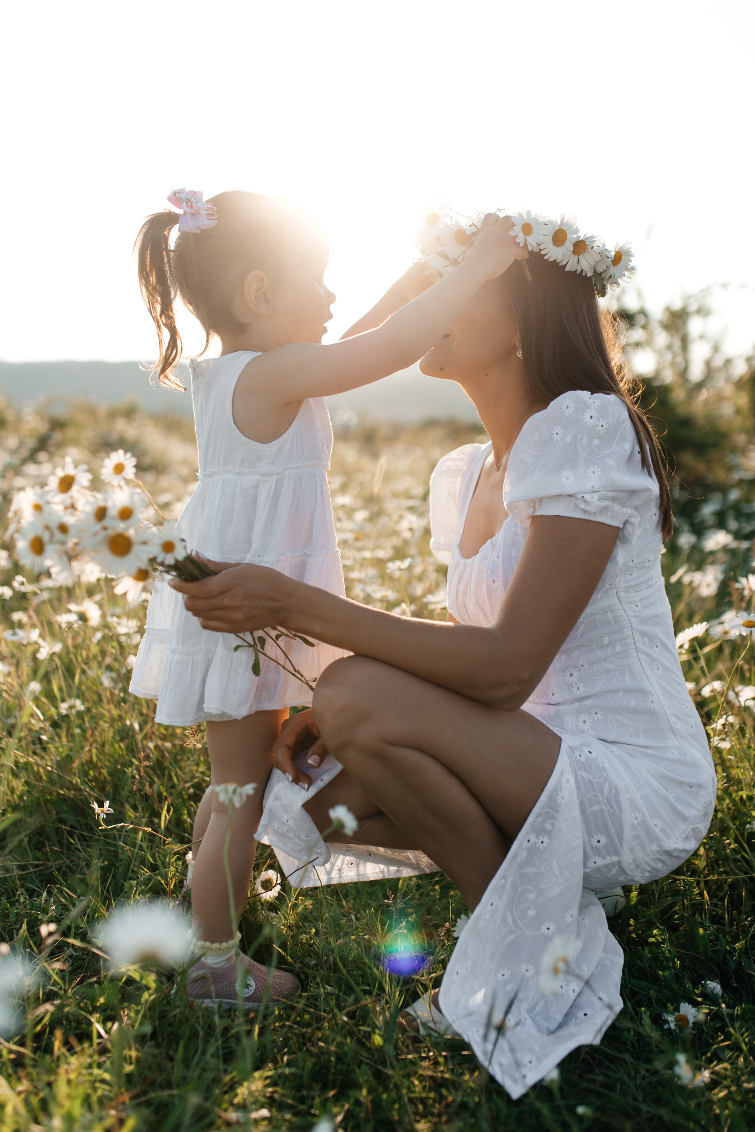 Daisies. ФОТОГРАФ