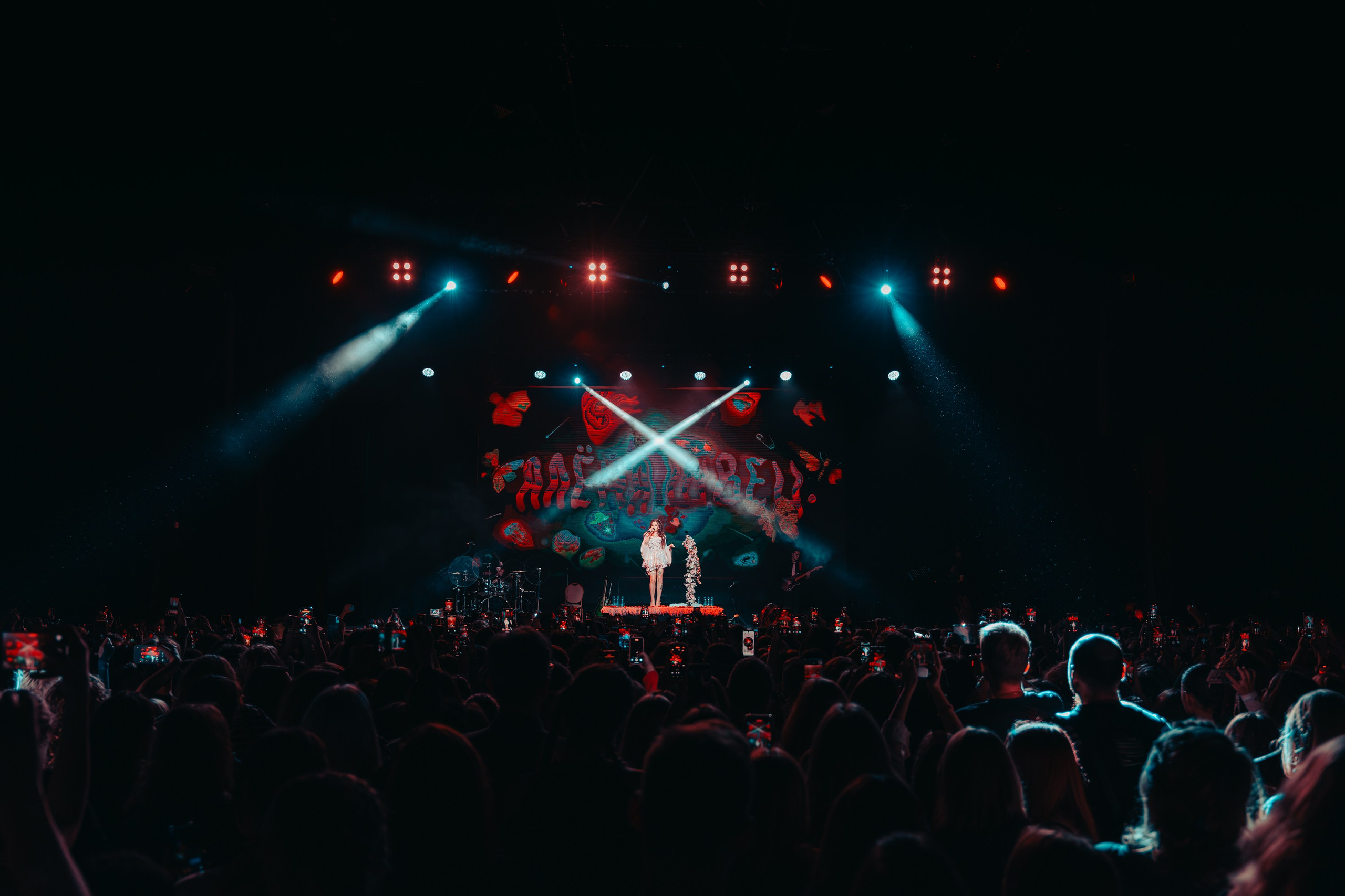 Алена Швец. Магия музыки в кадре: Концертная Фотография