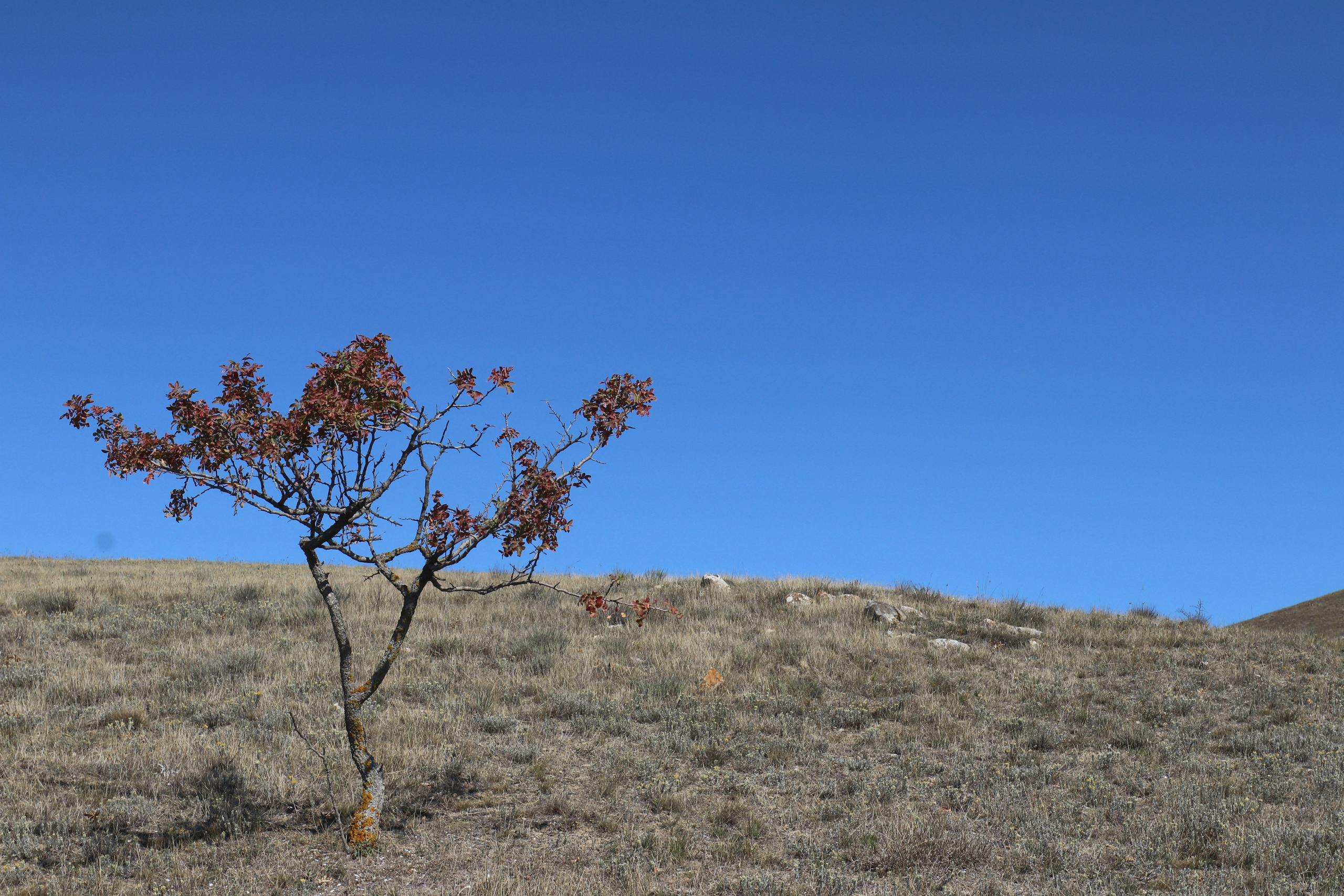 Крым. ЮБК (Судак, Карадаг, гора Клементьева, Меганом, Ильяс-Кая). Сентябрь 2020. Путешественник-фотограф из Санкт-Петербурга Татьяна Свистулина