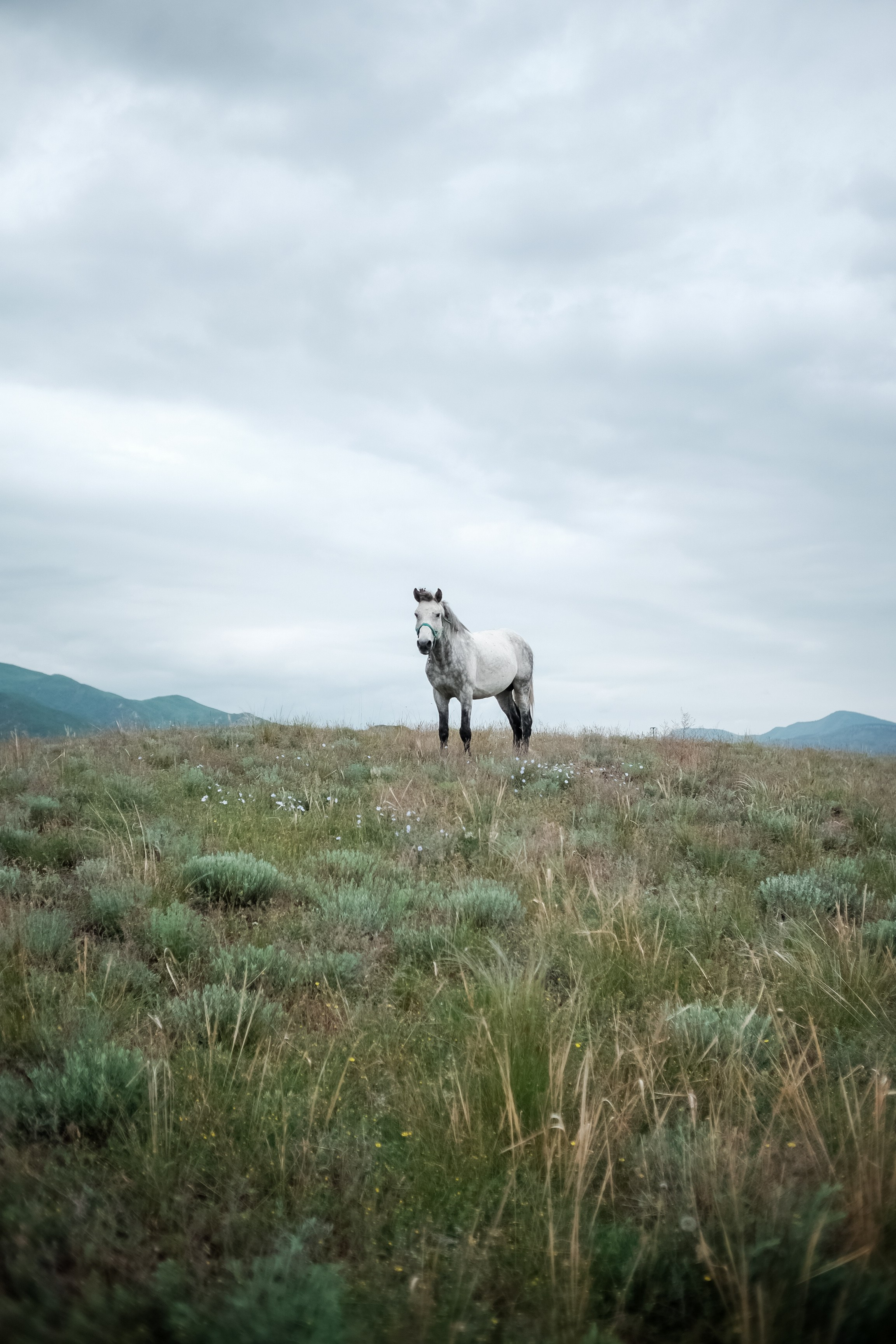 Поездки по России. Трандин Иван Фотограф СПб