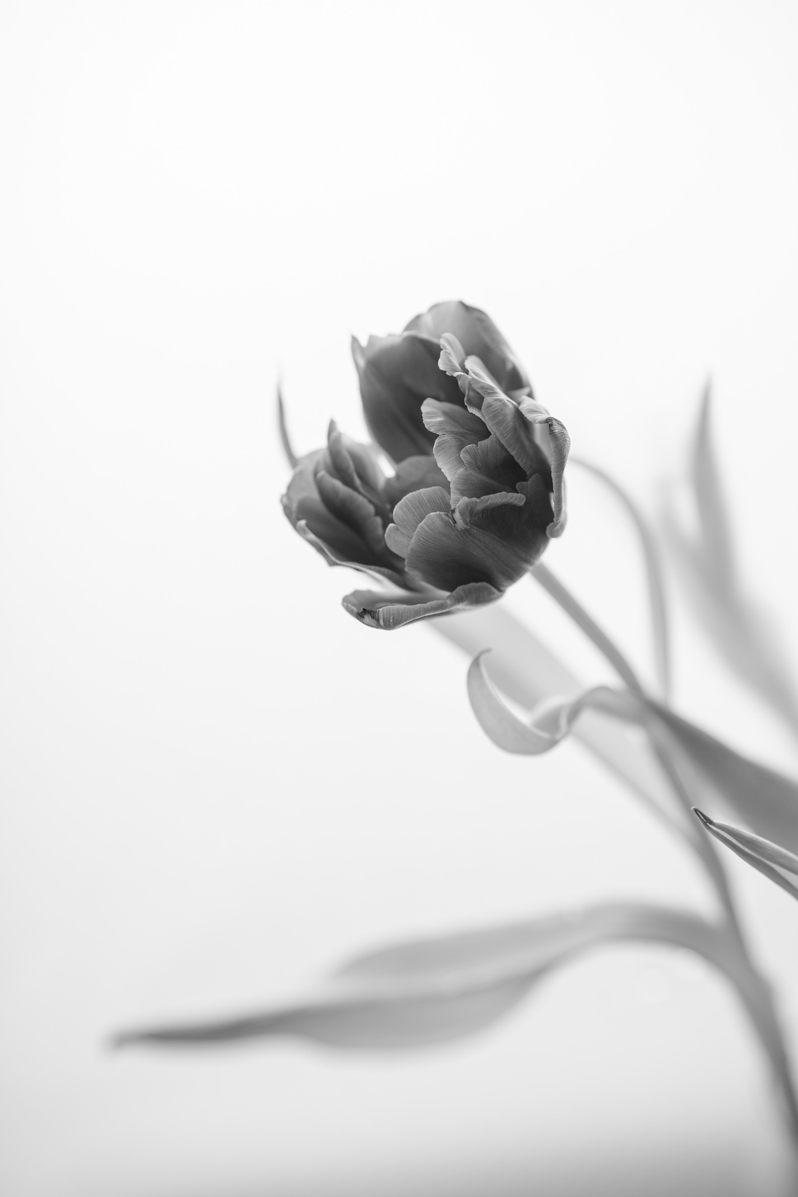 Для души. Фотосессия портрет, ню, будуар, стрит фотограф Москва Юлия Кафизова