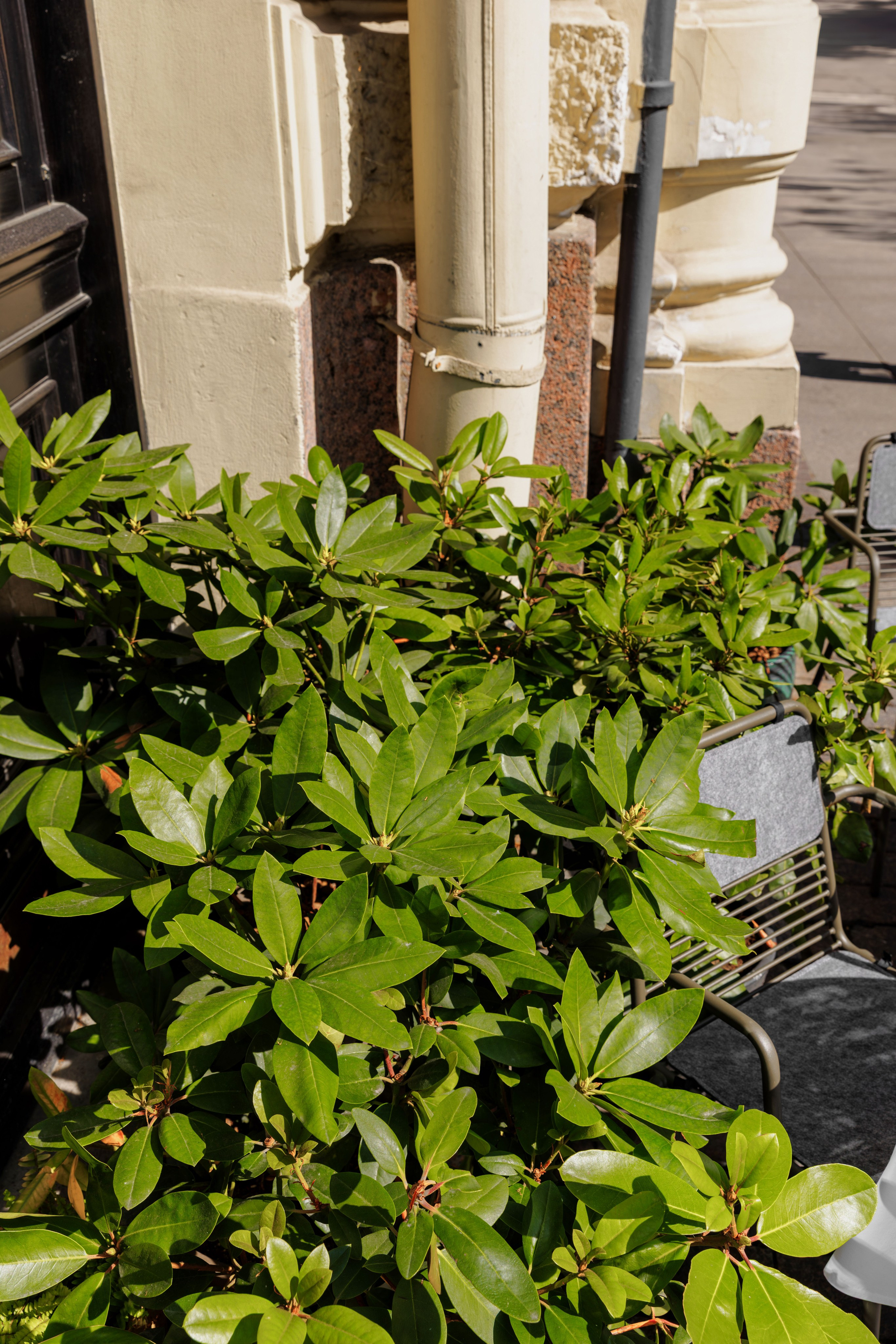 Медведь. Репортажный фотограф в Санкт-Петербурге Жолудев Владислав