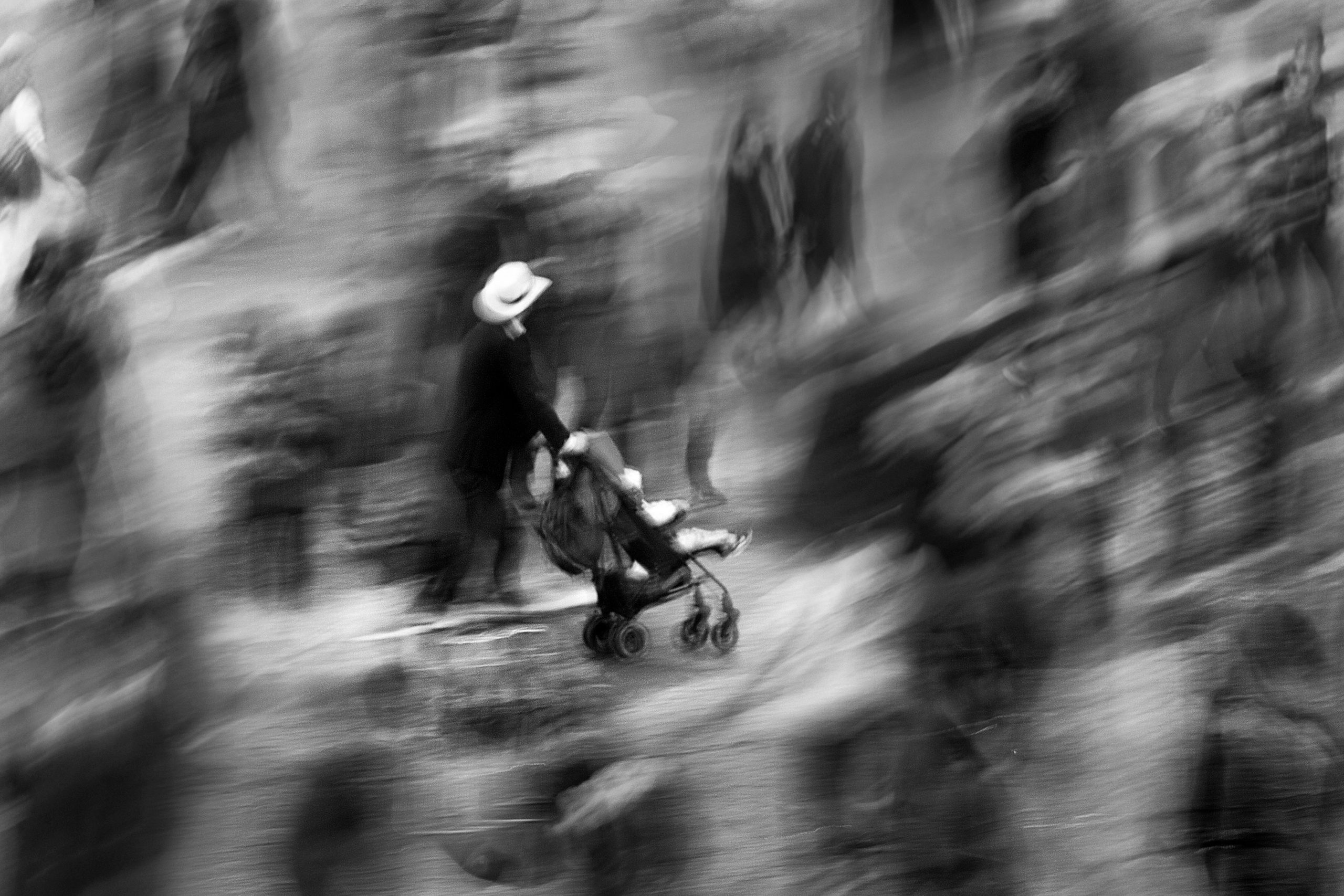 Жанр. Фотограф Лагутин Анатолий