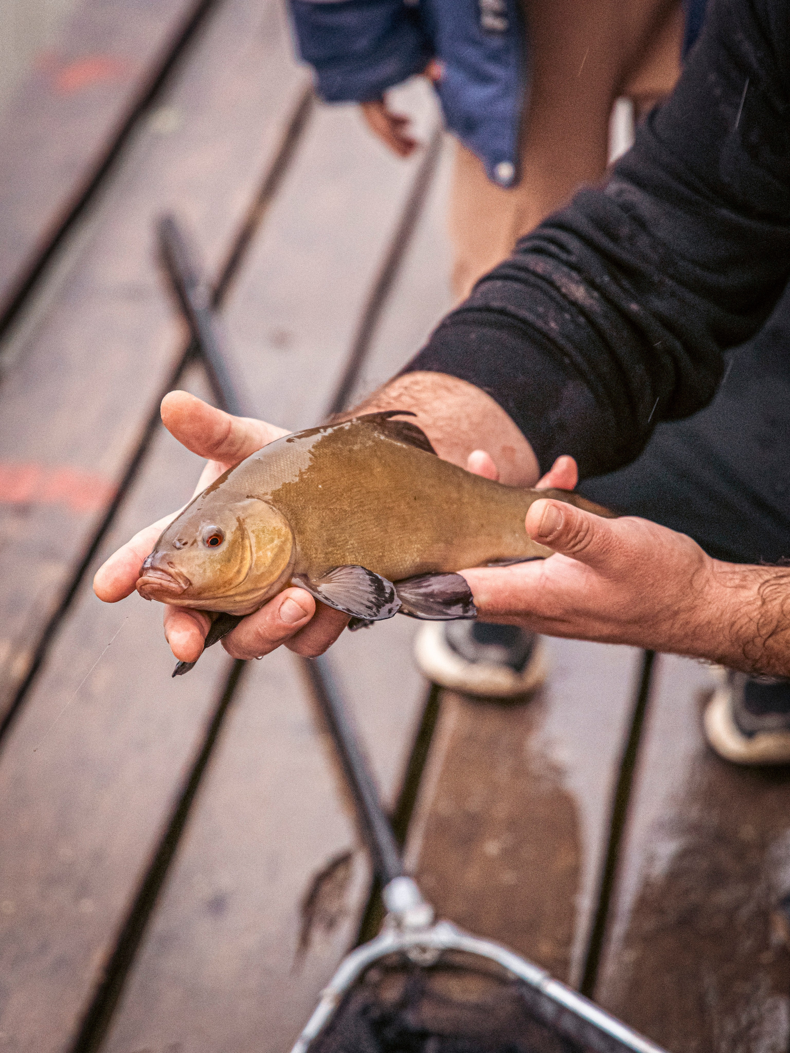 Тихая заводь. Чеховский район. Фотограф для маркетплейсов, фотоуслуги в Жуковском Татьяна Марсуверских