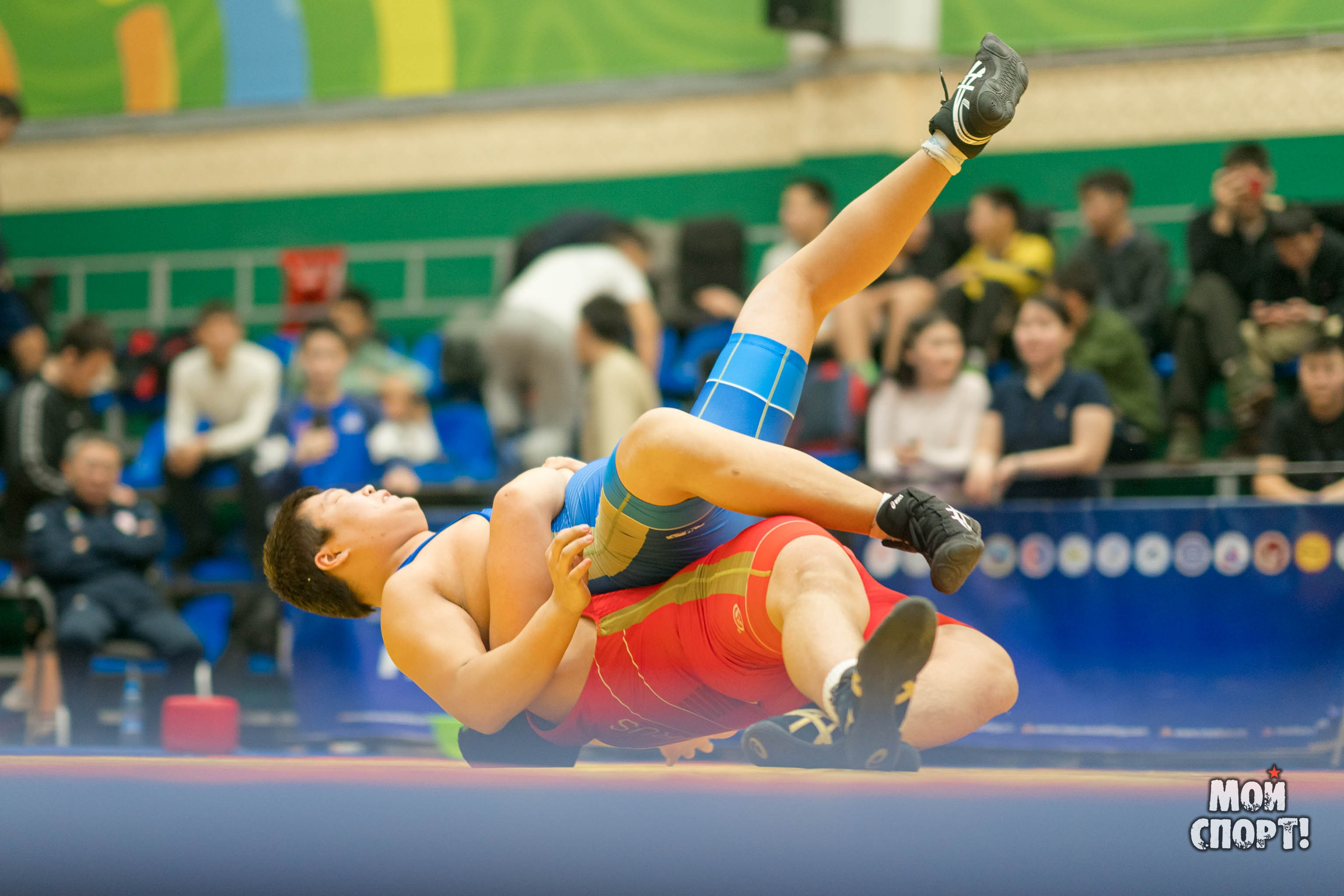 Первенство РС (Я) по греко-римской борьбе пам. Д. Г. Максимова. Студия «Мой Спорт!» — все о спорте в Якутии