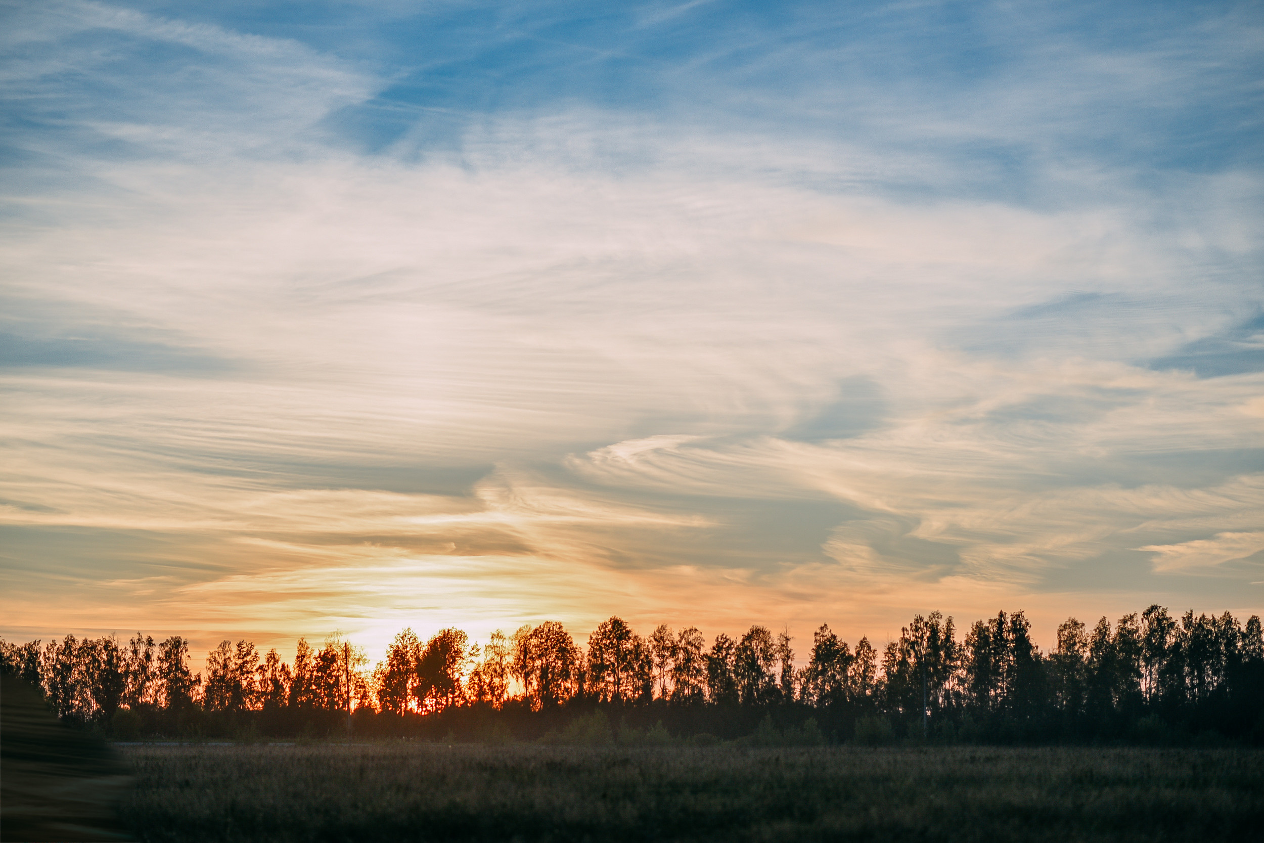 Игра в ковбоя. Детский и семейный фотограф