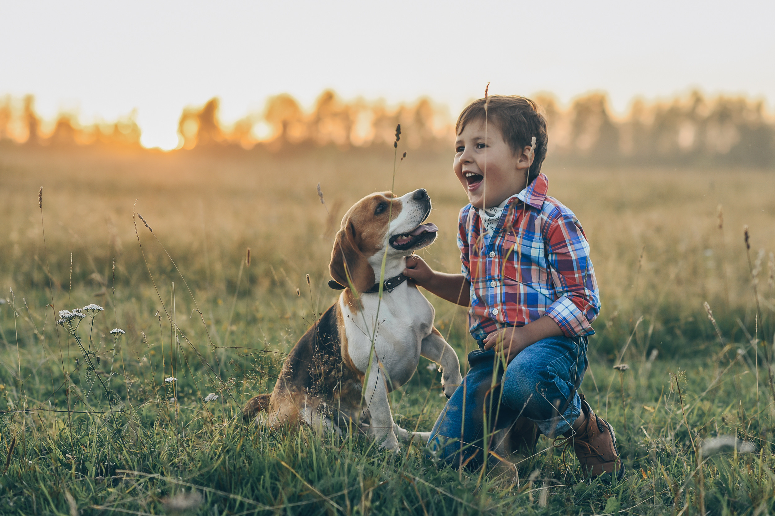 Игра в ковбоя. Детский и семейный фотограф