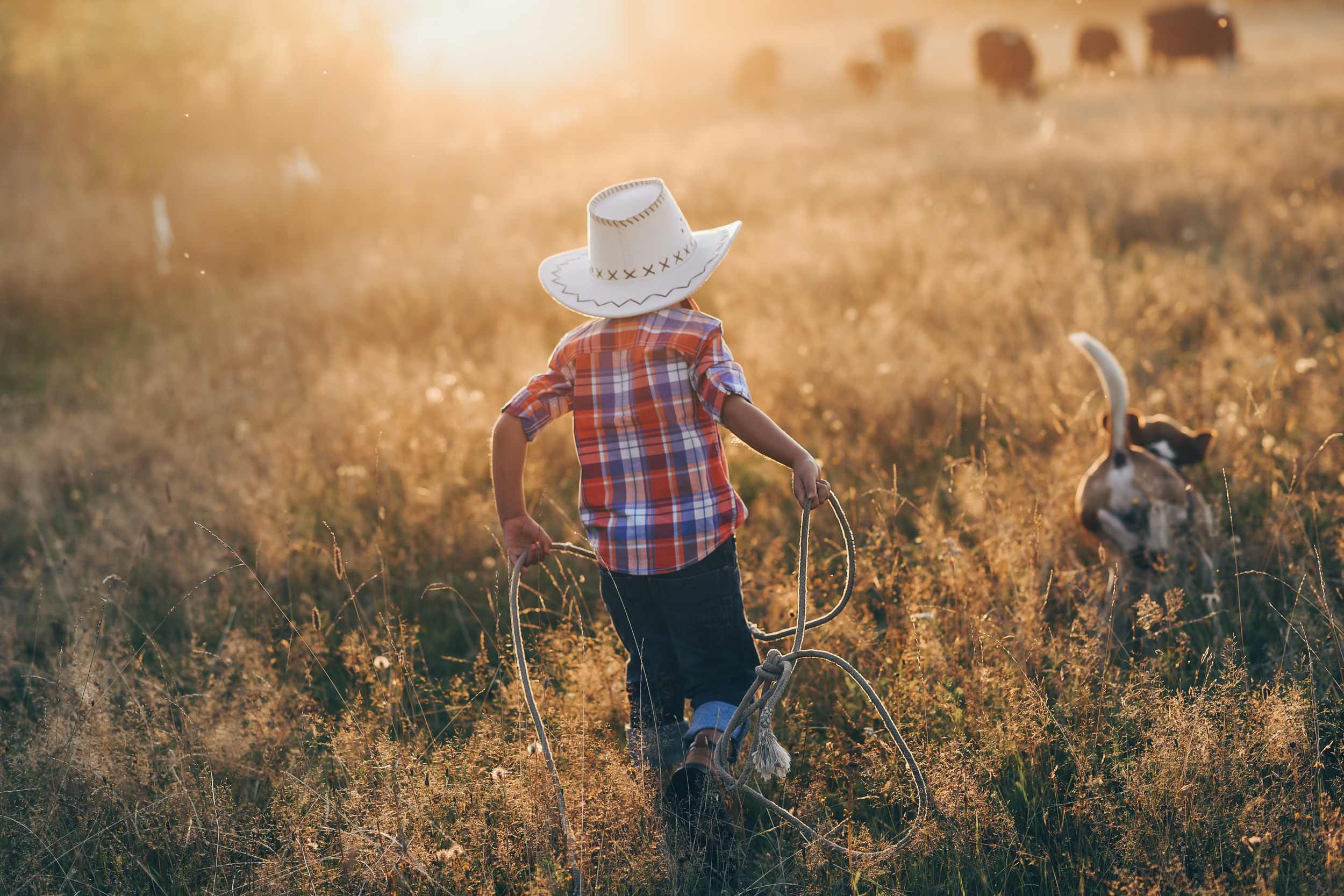 Игра в ковбоя. Детский и семейный фотограф