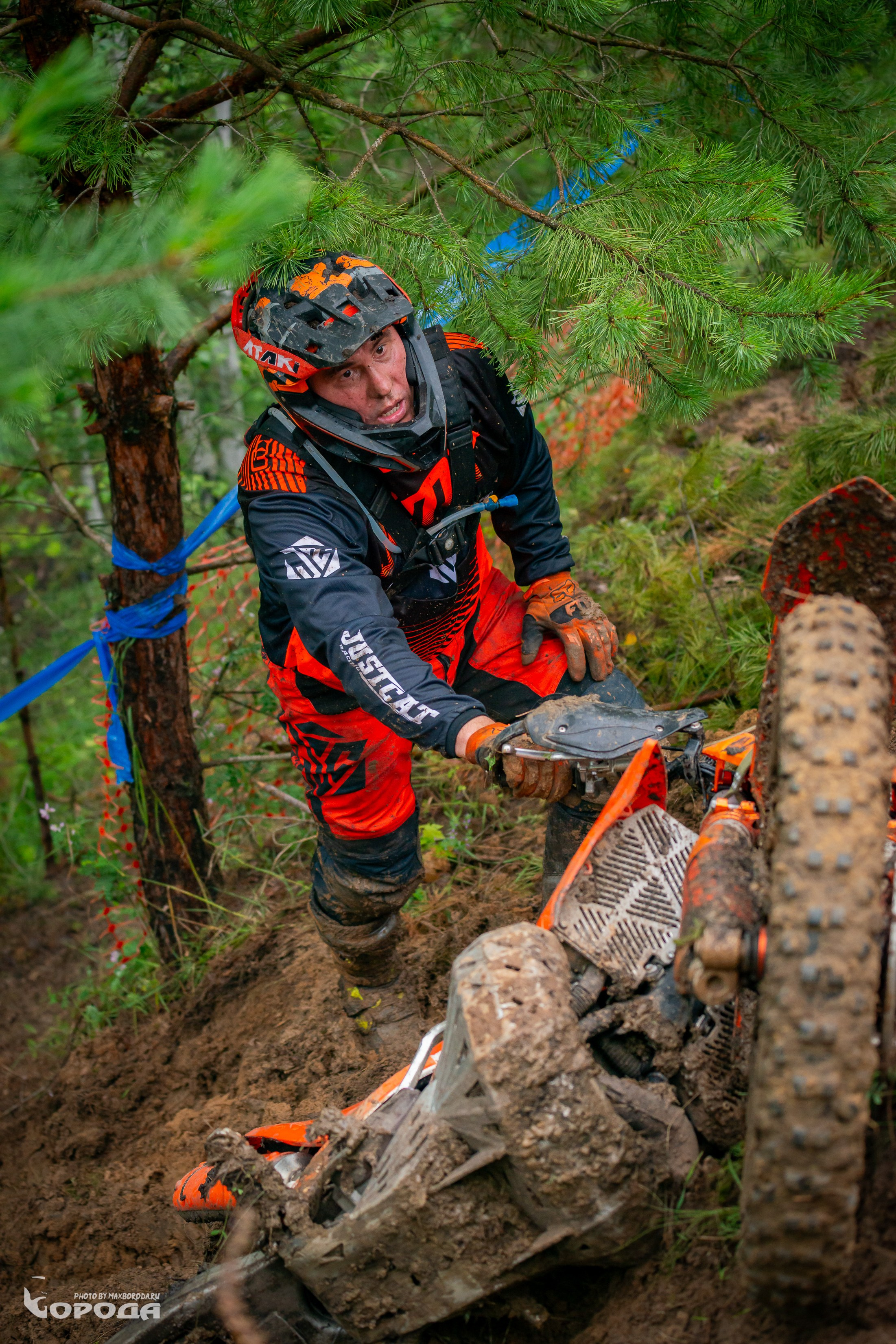 Дубрава 2025. Фотограф | Макс Борода