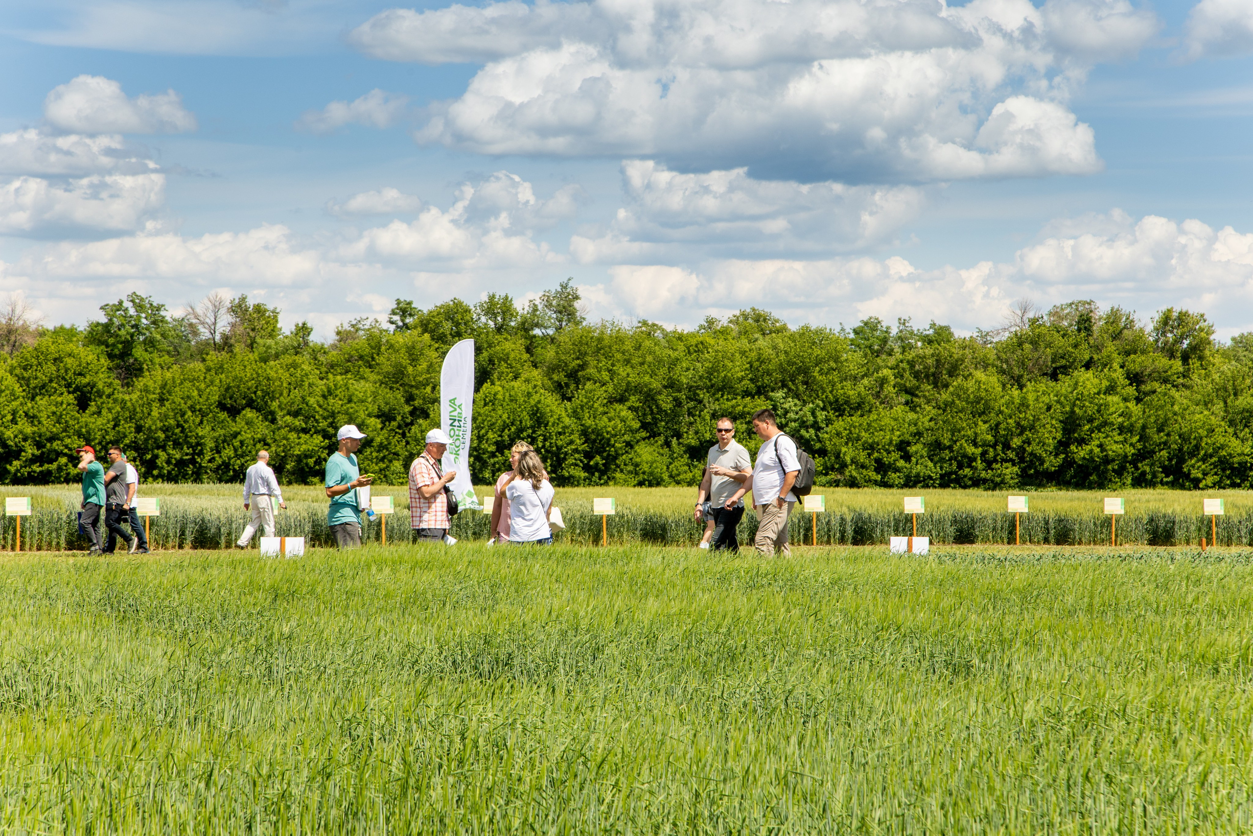 День Поля 2022. Владислав Волков | Фотография и видеосъемка в Воронеже