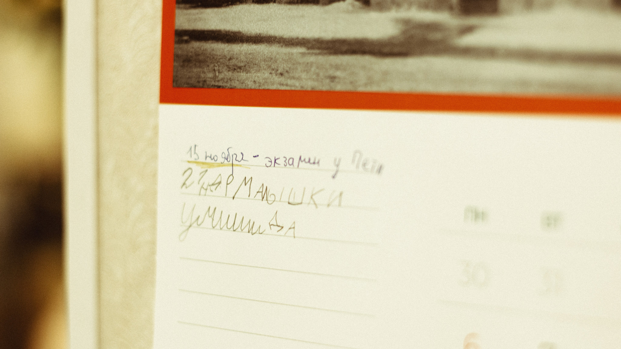 Семья Зайцевых. Мария Колесникова