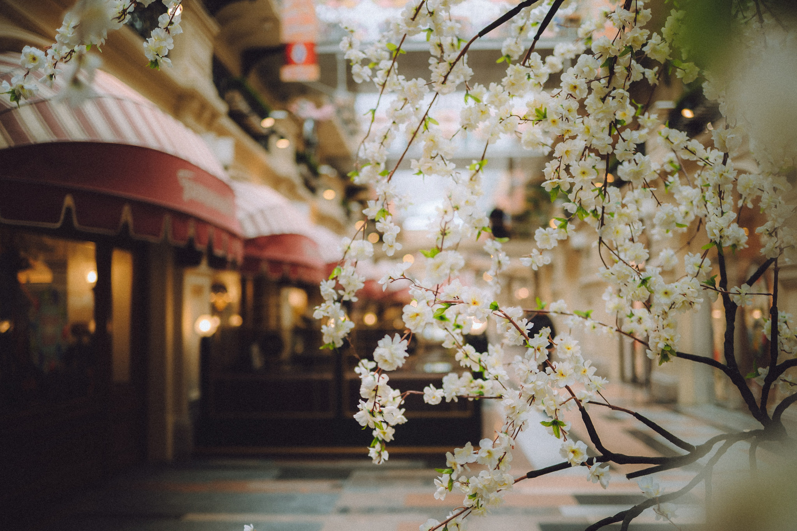 Юля, Вова и Моня