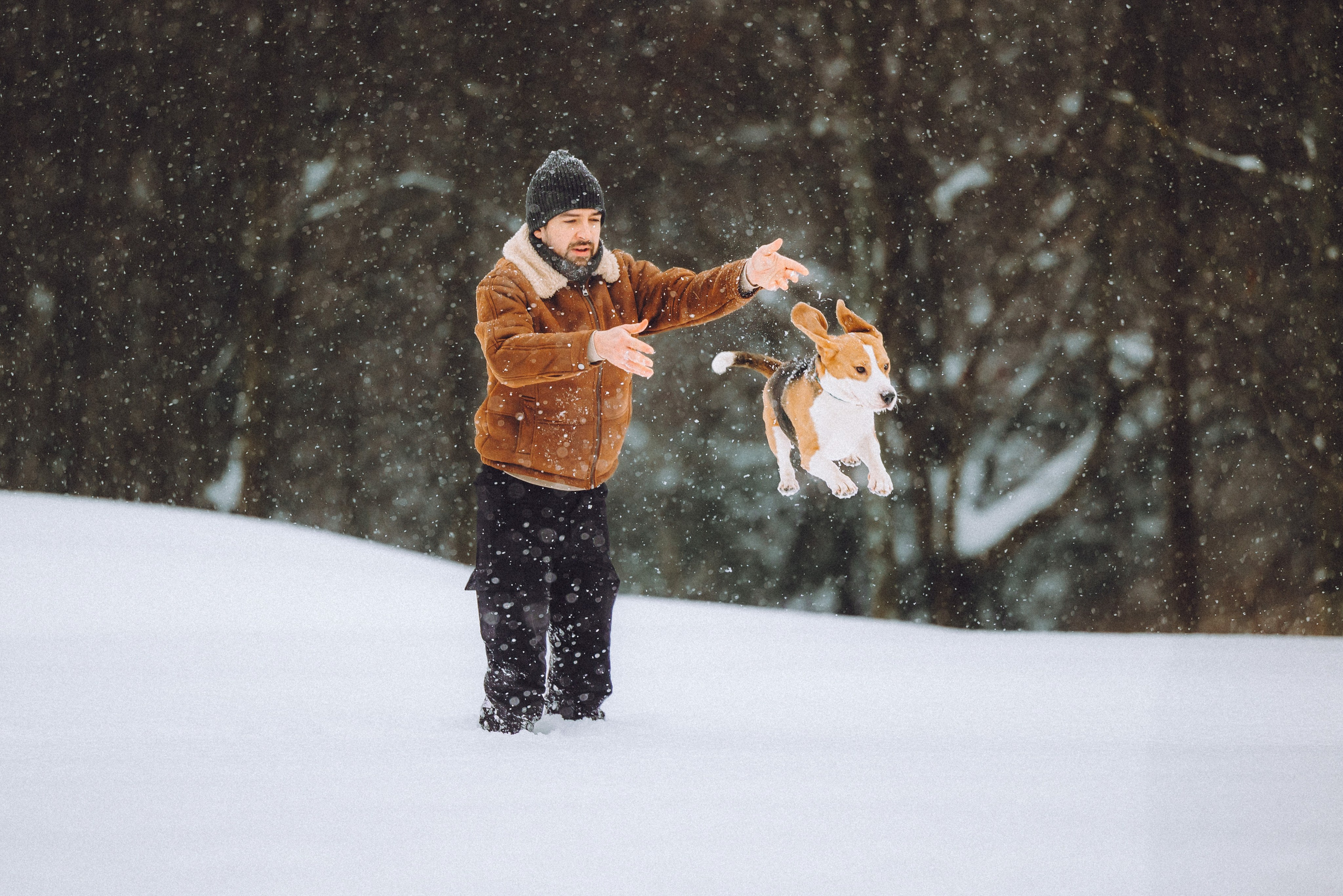 Роман, Портер и Коррес