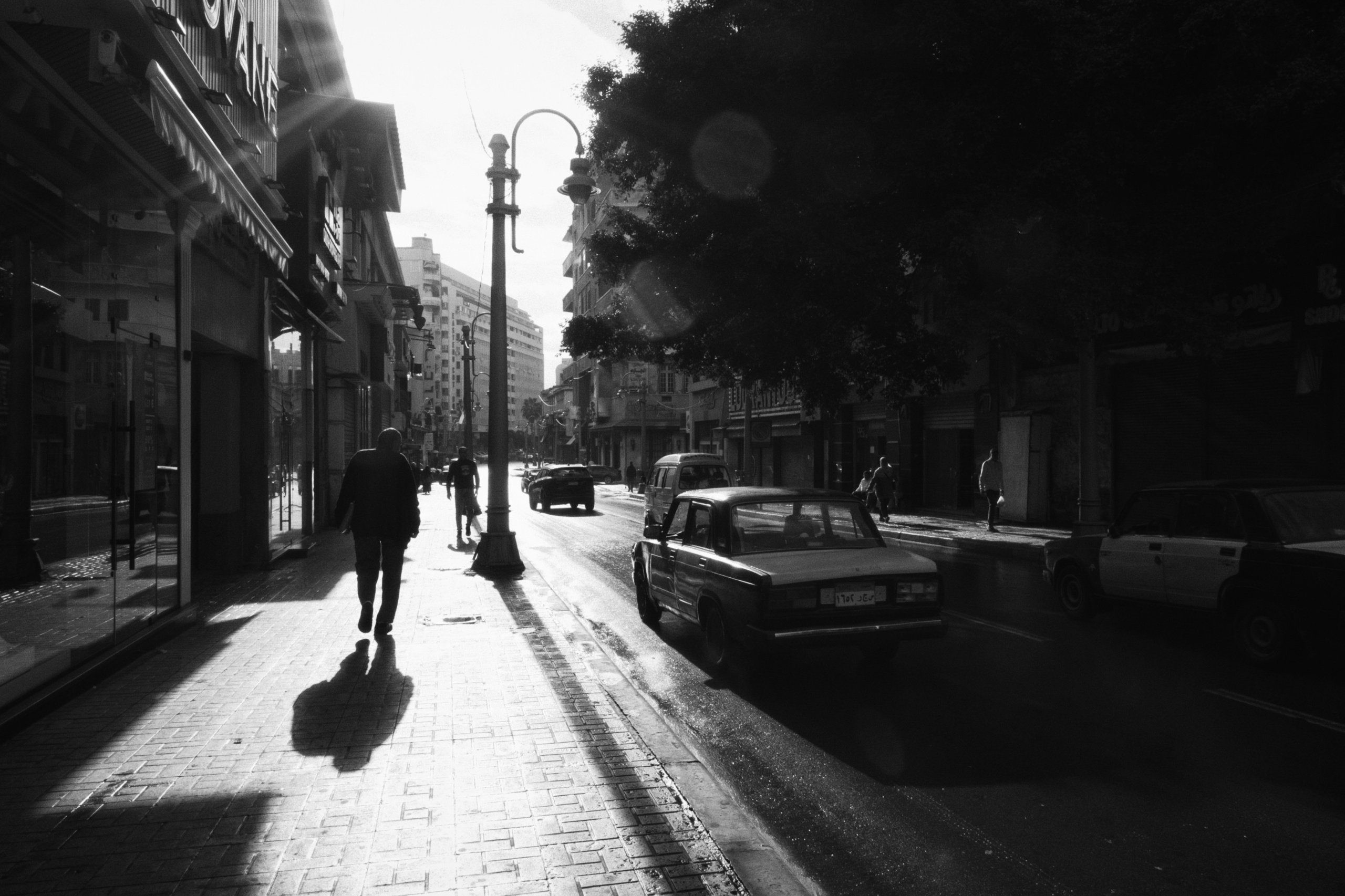 Alexandria / Egypt AW25. Фотограф Юрин Евгений