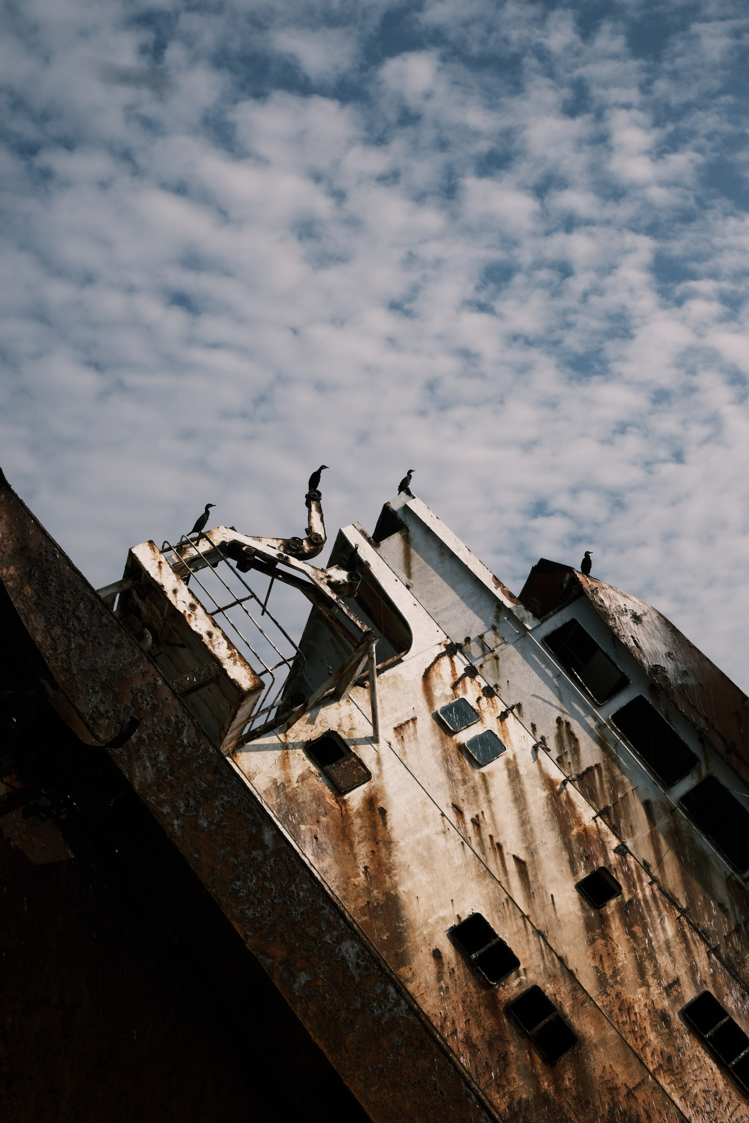 Yalta Summer Jam (2023). Фотограф, видеограф в Санкт-Петербурге