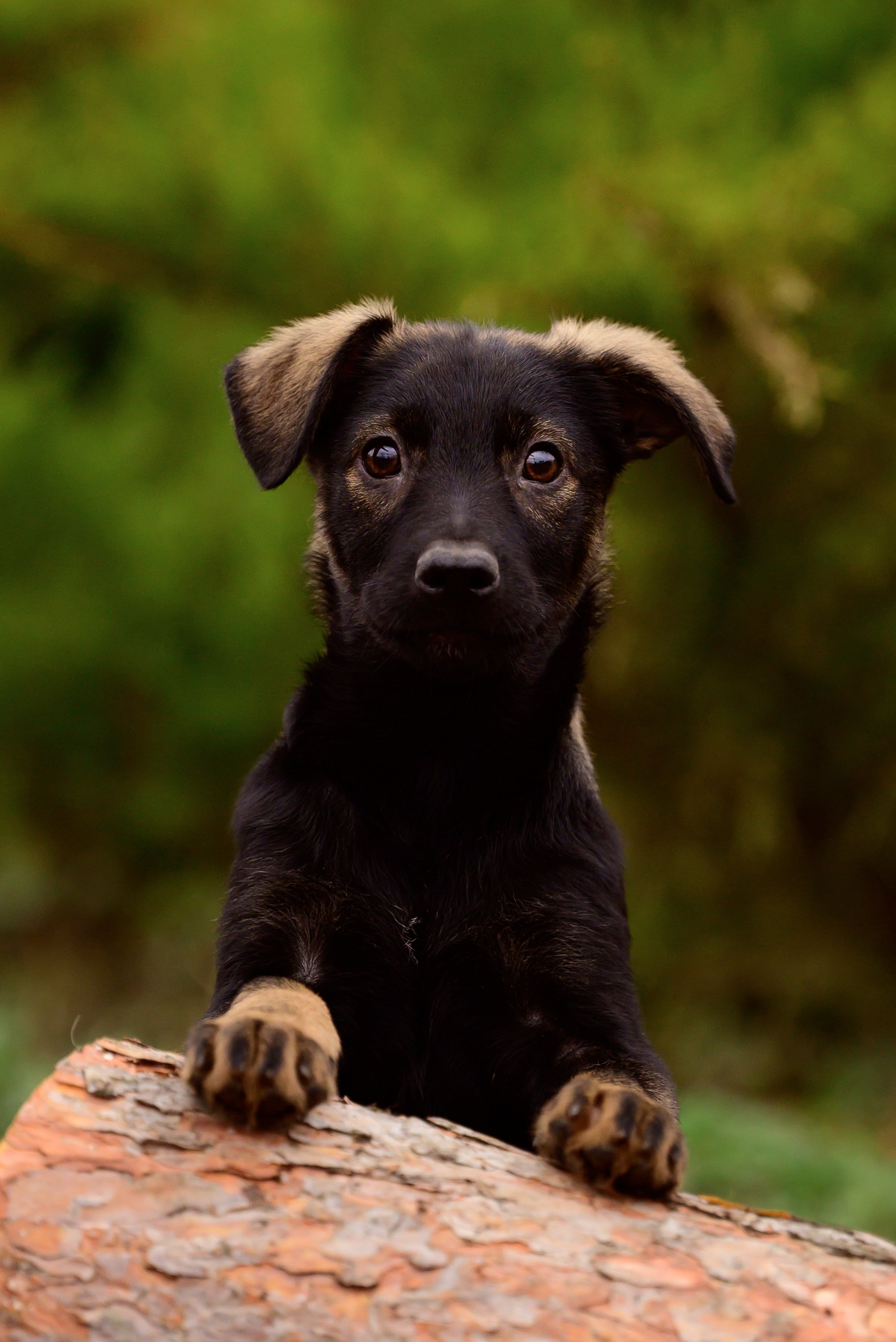 Круассанчики. Мила Астахова