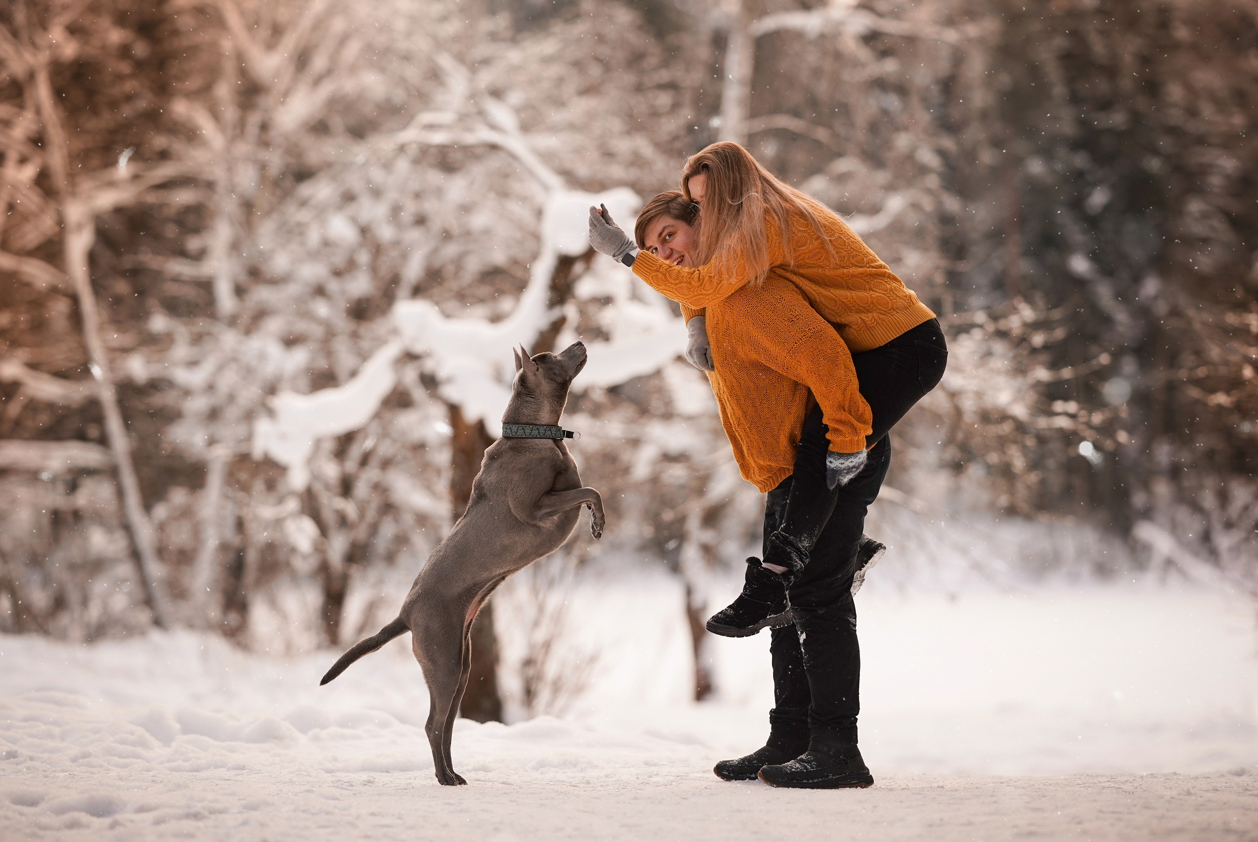 Даша Илья Вениамина и Мэдиссон. Фотограф-анималист в Санкт-Петербурге Яна Мартынова