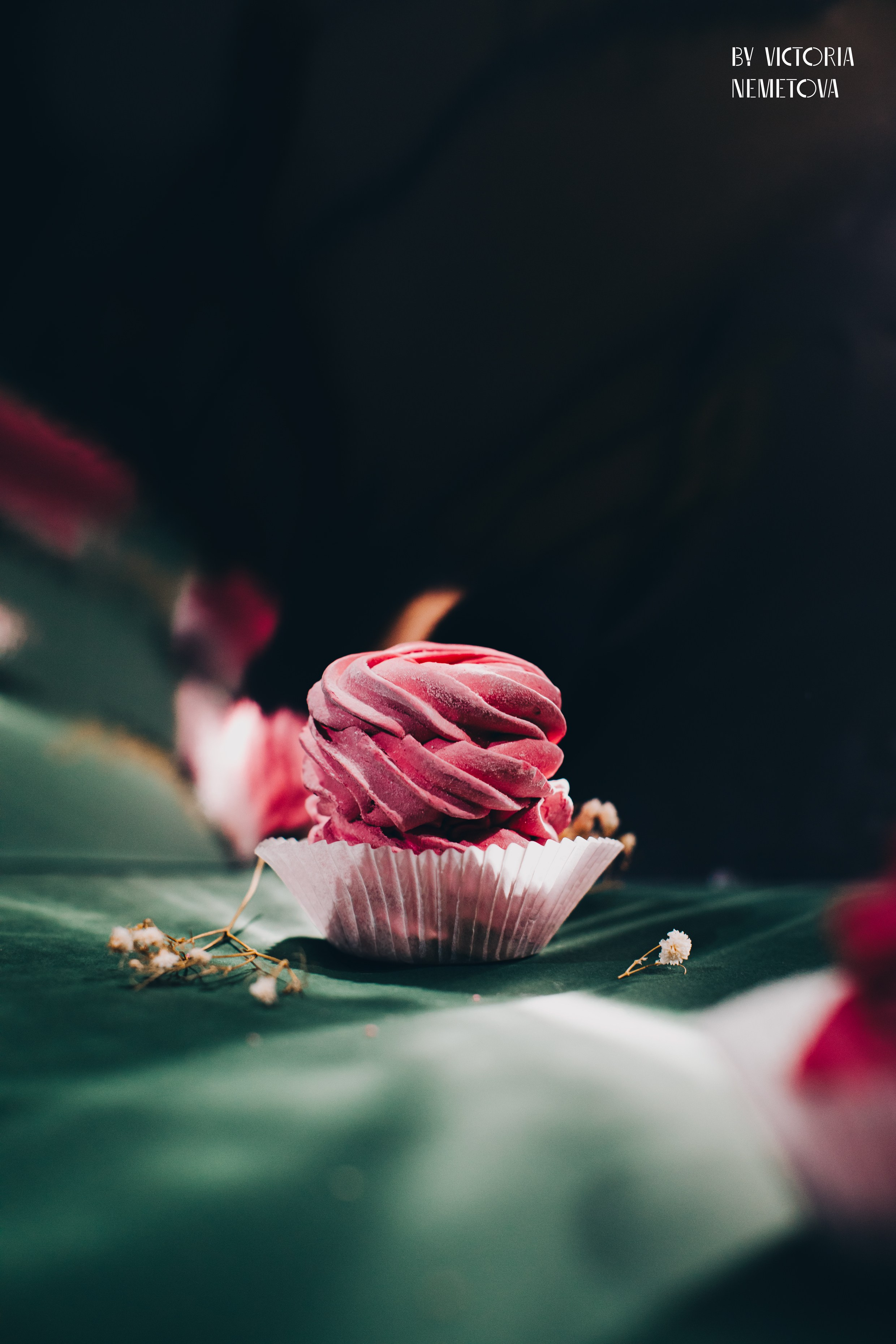 STILL LIFE. Photographer Zoya Smirnova