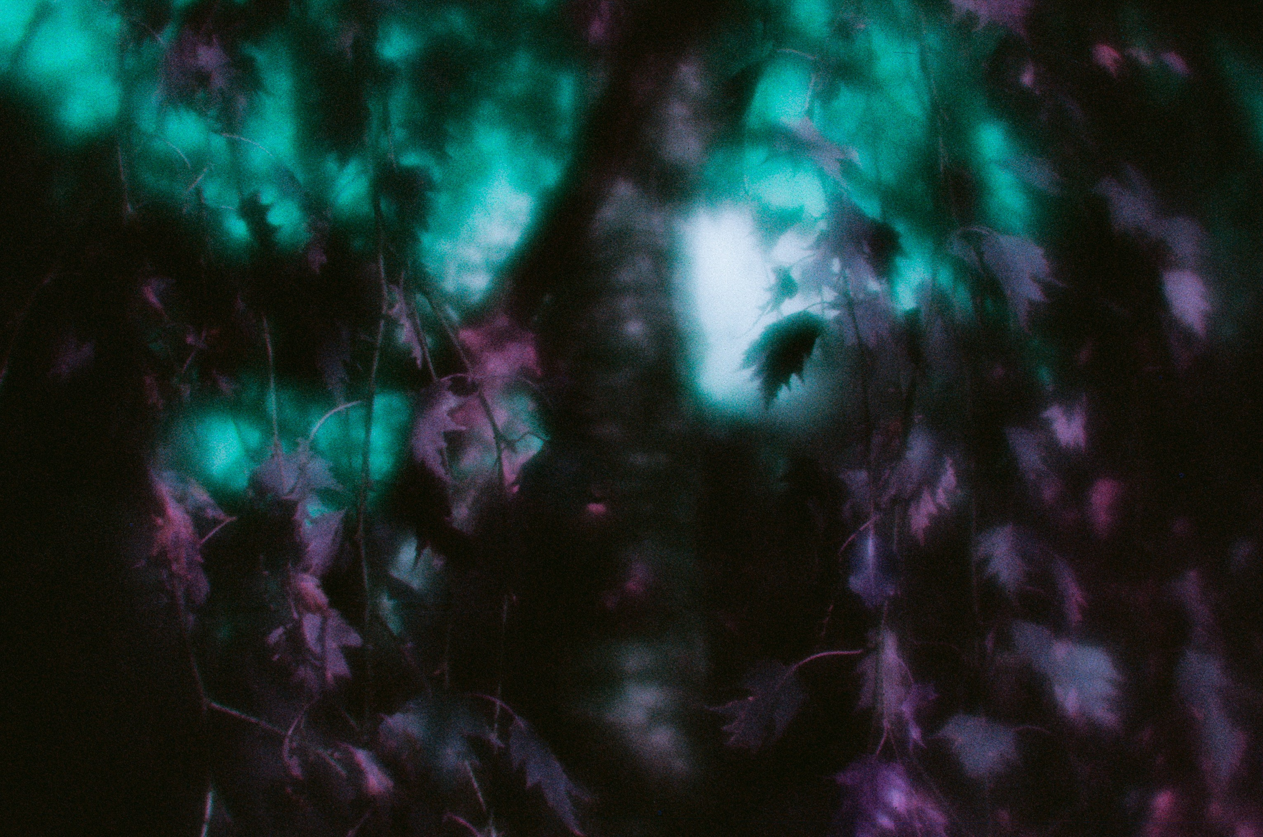 Everything i could never say to you II. EVER EXPOSED