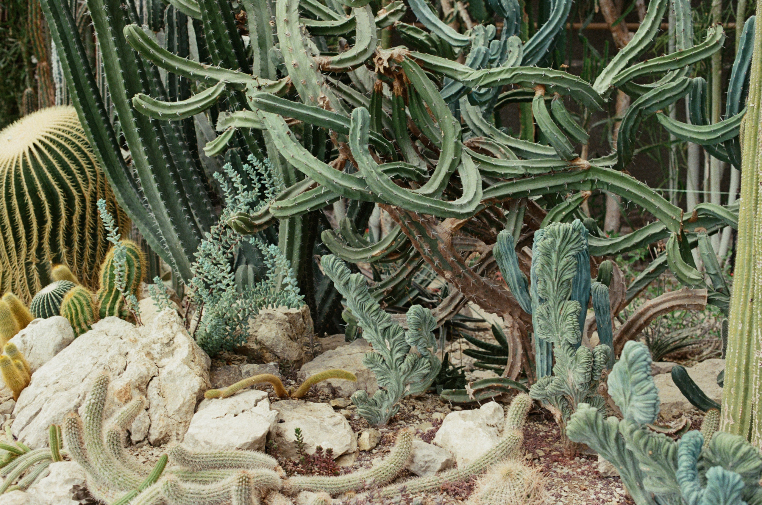 This time // ukraine, crimea III. EVER EXPOSED