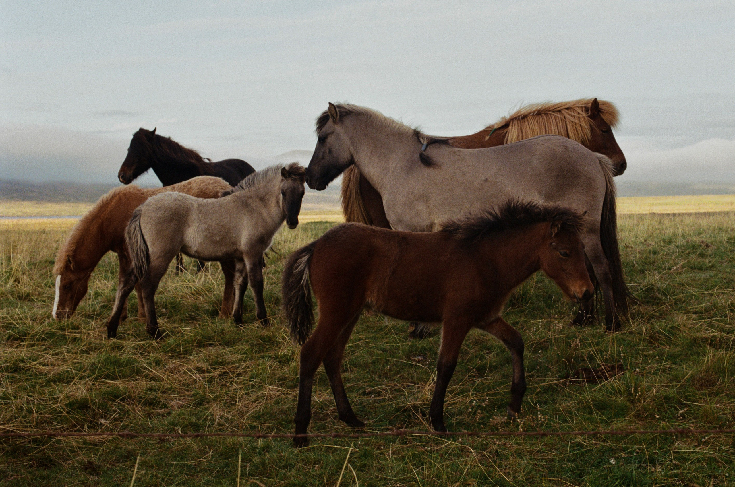 Unravelling // iceland, 724. EVER EXPOSED