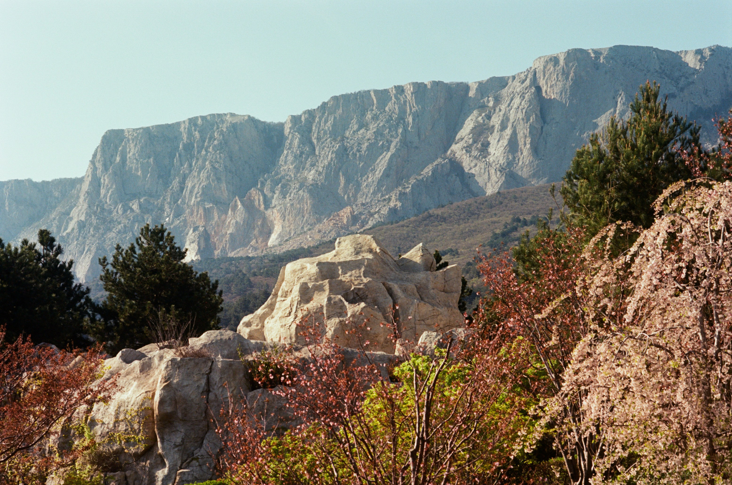 Sakura blues // ukraine, crimea VI. EVER EXPOSED