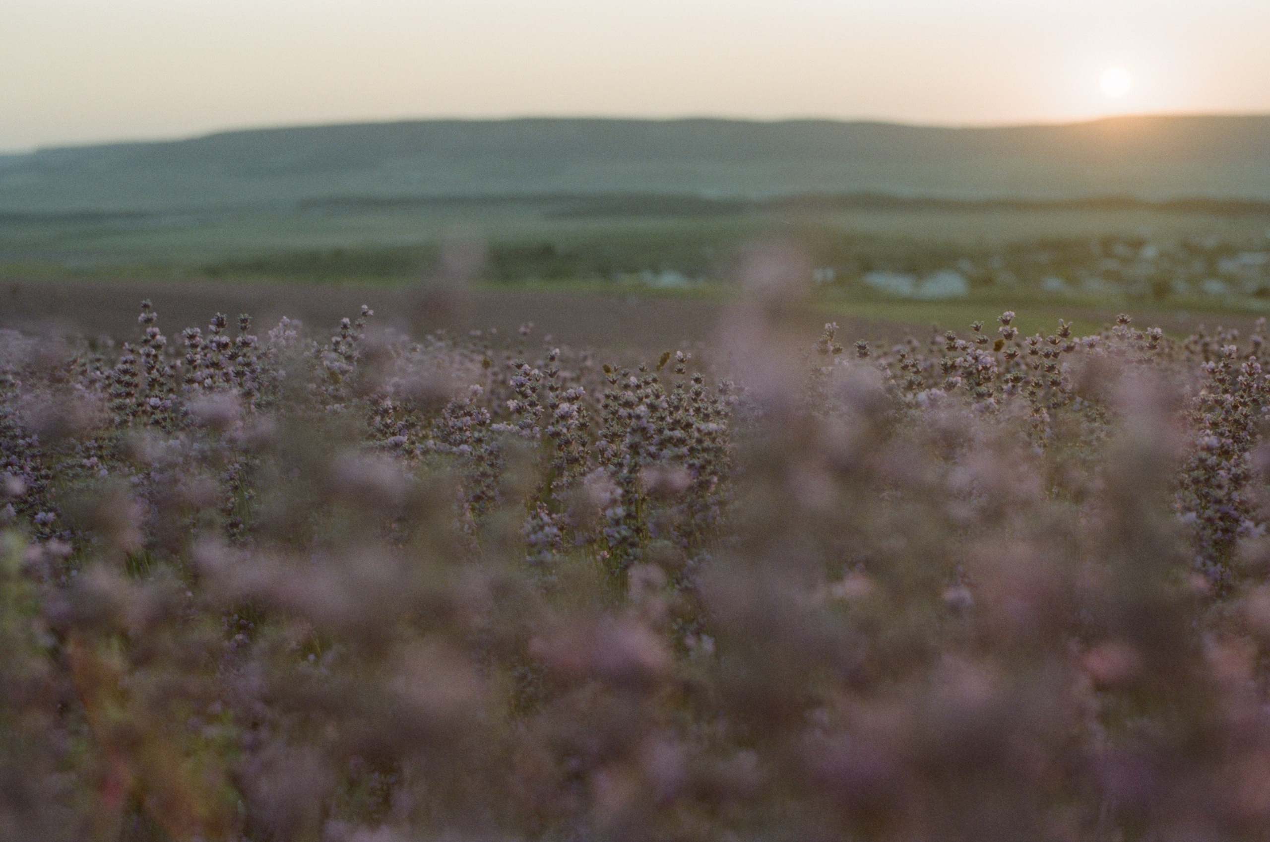Silent running // ukraine, crimea V. EVER EXPOSED